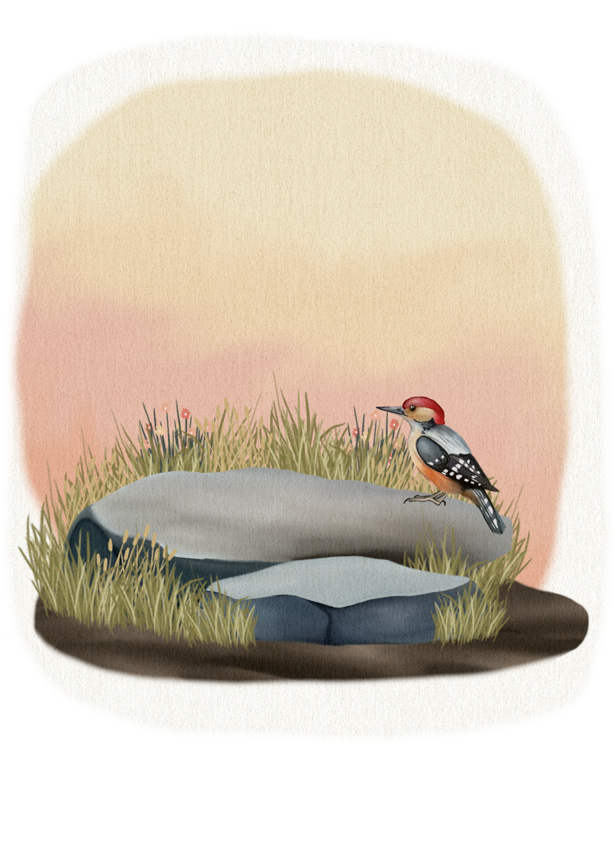 Untitled_Artwork 72.png