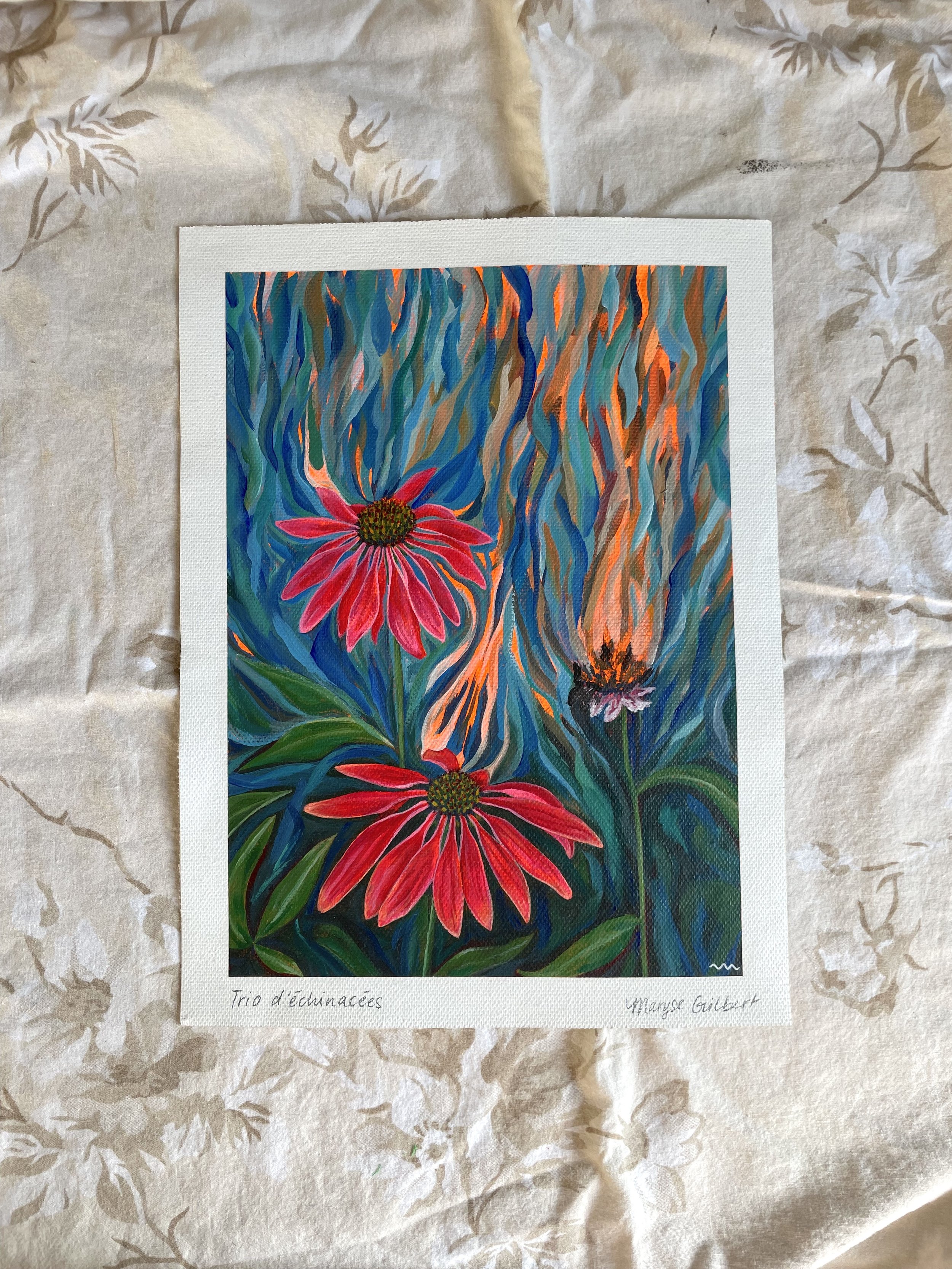trio-echinacees-og-03.jpeg
