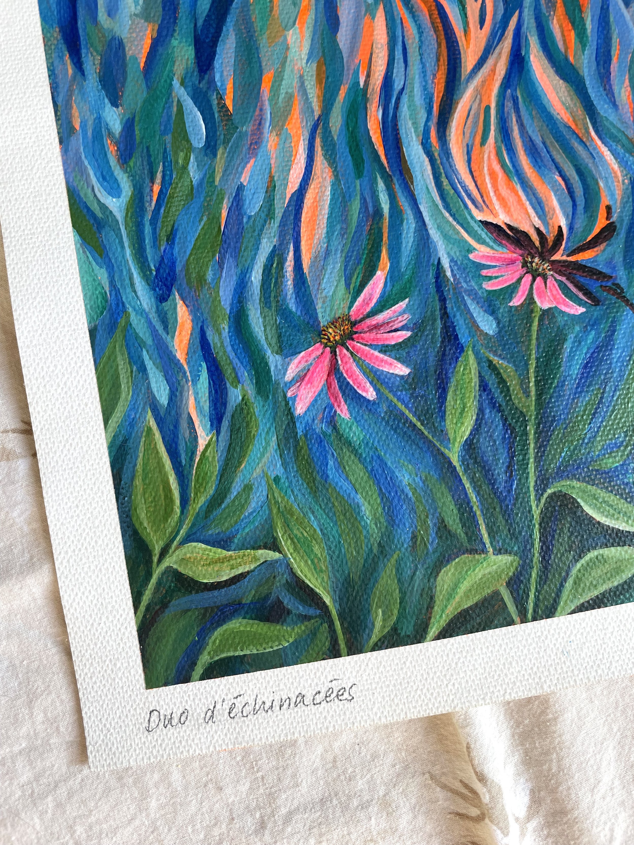 duo-echinacees-og-03.jpeg