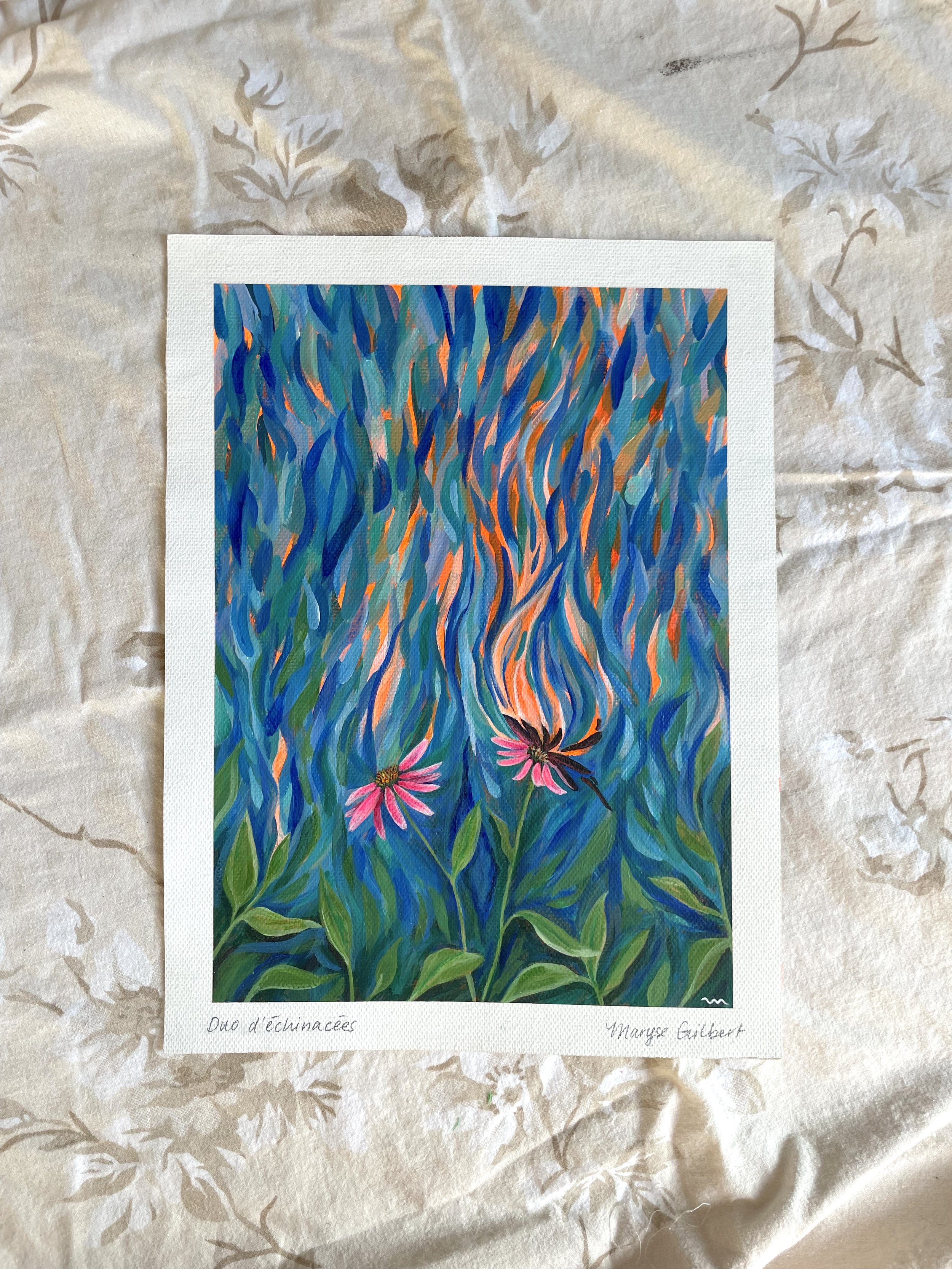 duo-echinacees-og-04.jpeg