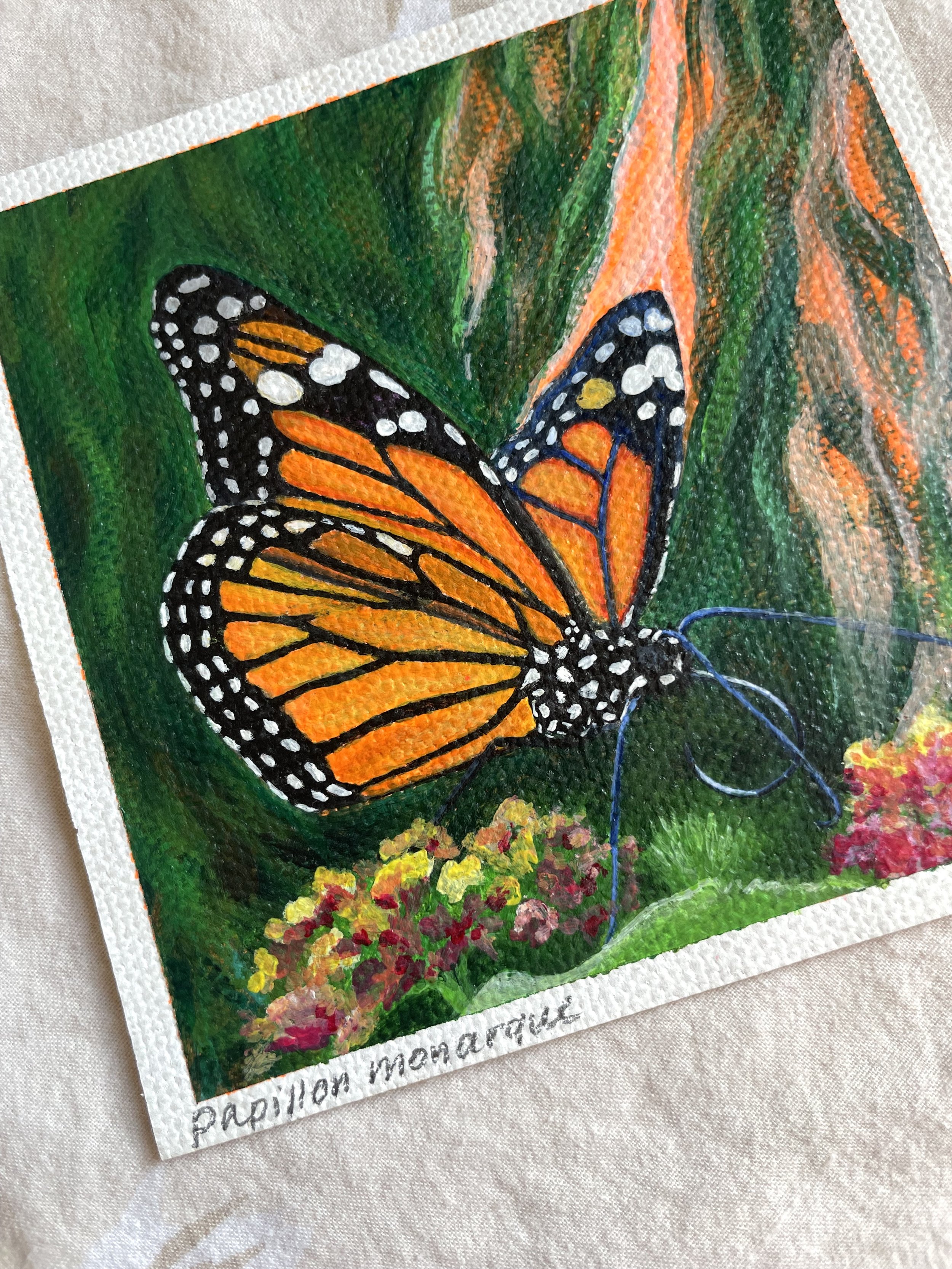 papillon-monarque-og-03.jpeg