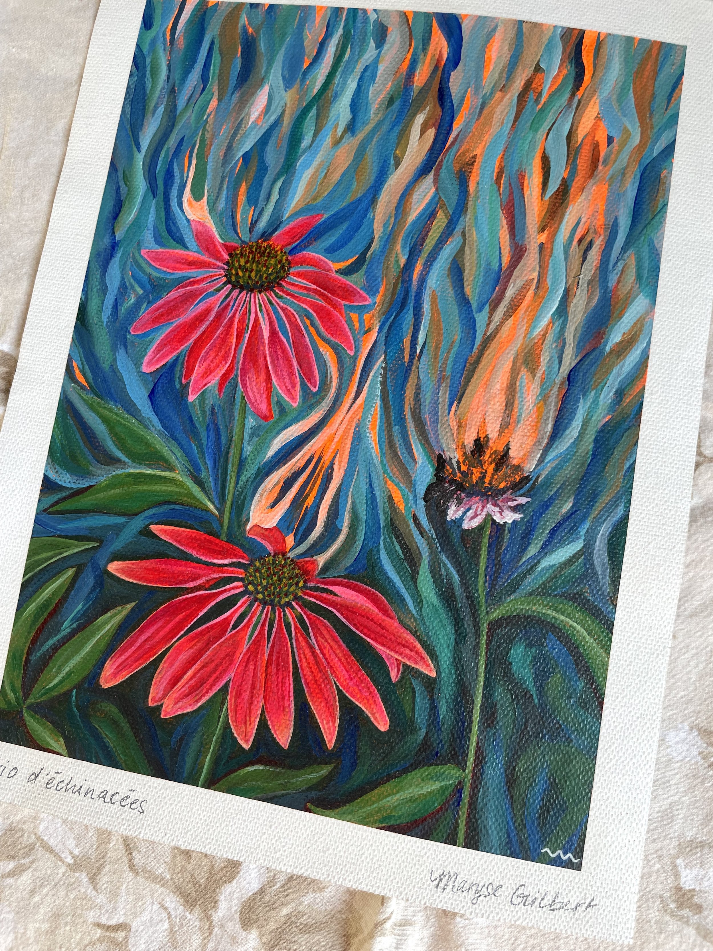 trio-echinacees-og-05.jpeg