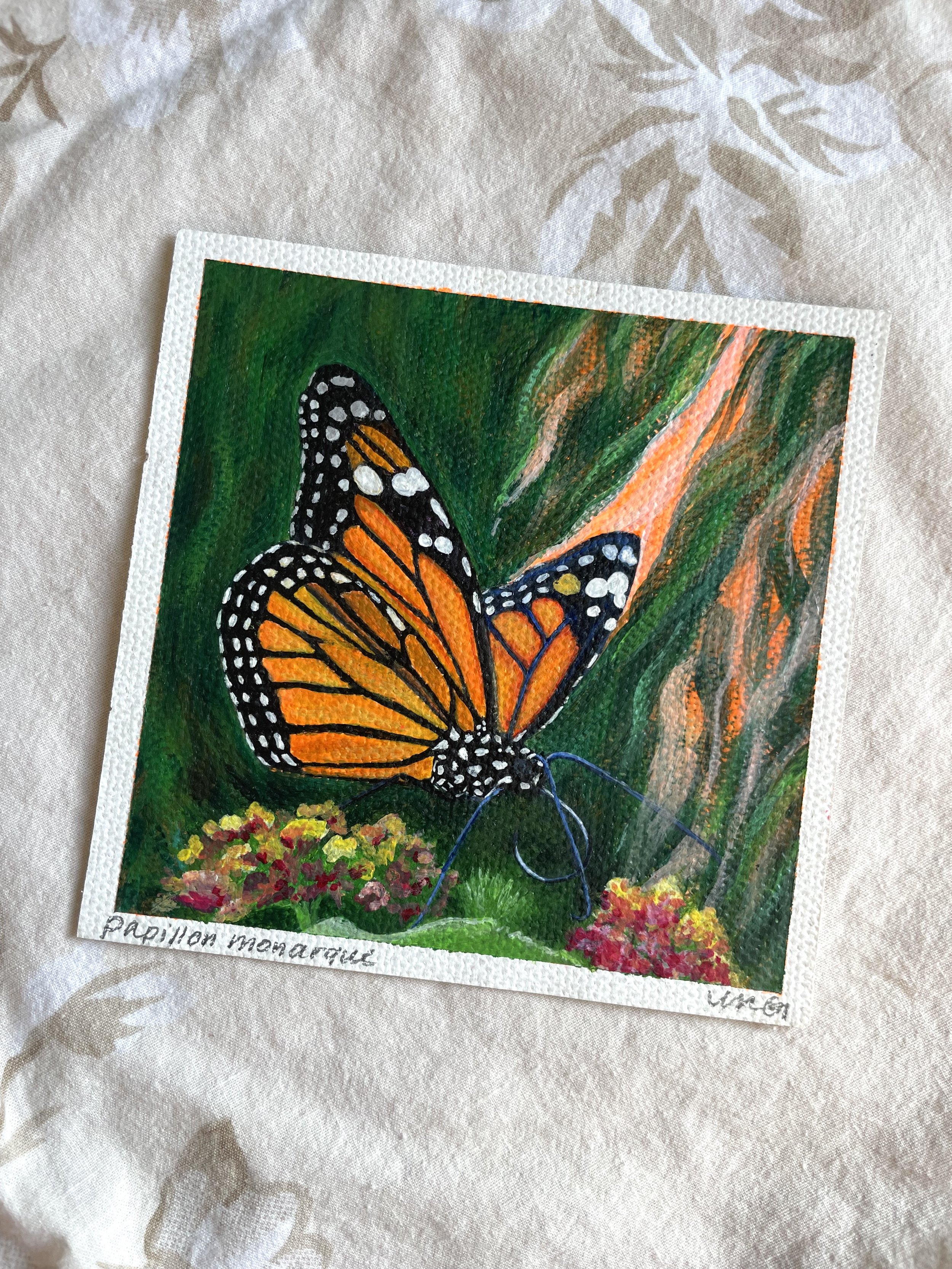papillon-monarque-og-04.jpeg