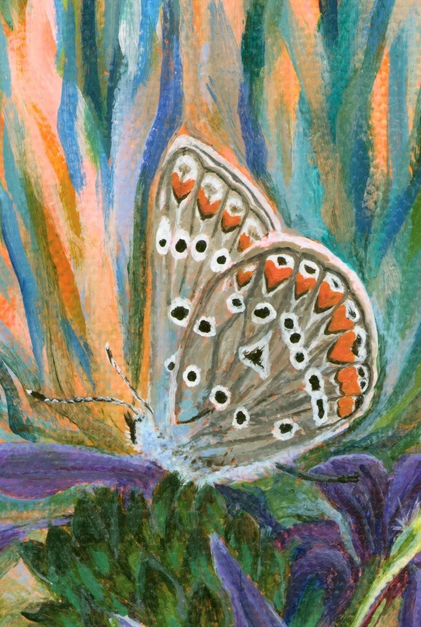 papillon-azure-detail.jpeg