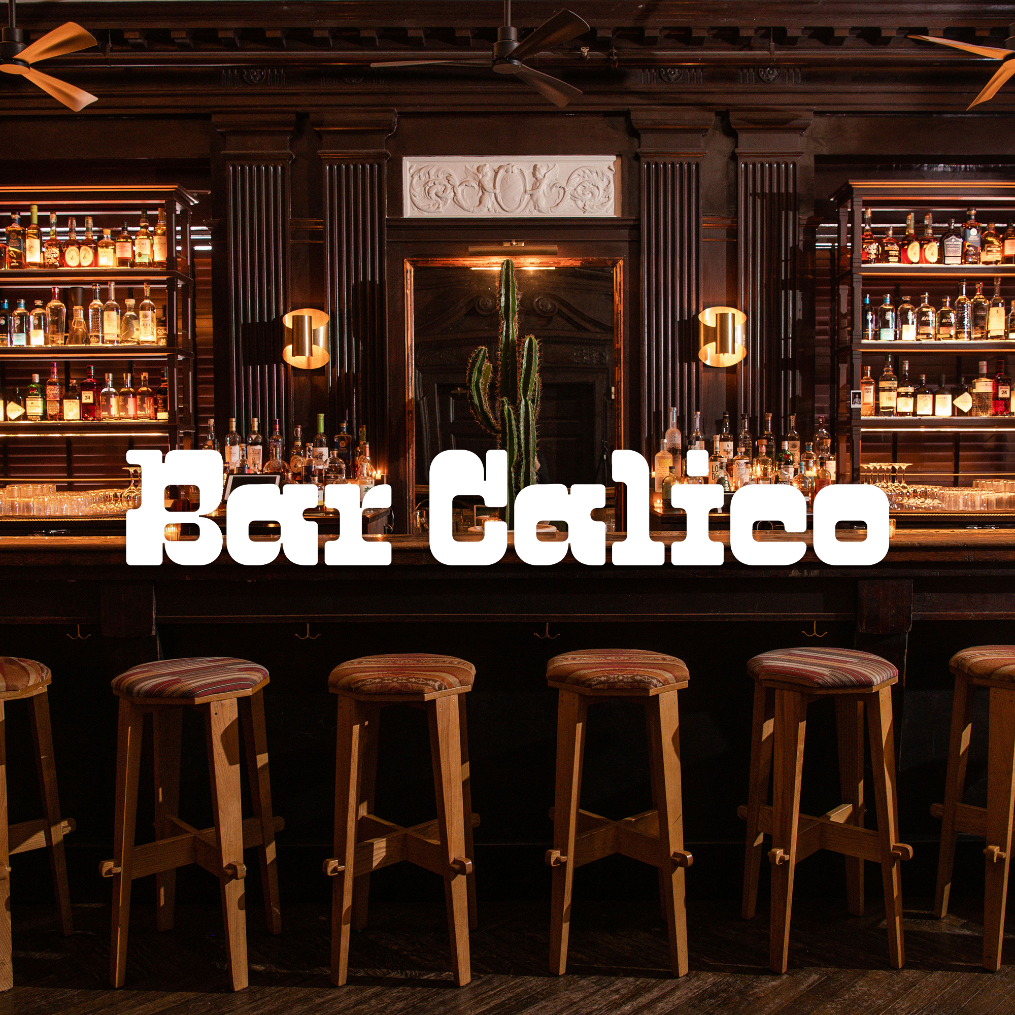 A bar with a dark wood interior, shelves of liquor bottles, a cactus plant in the center, and bar stools with striped cushions in front. Text overlay says 'Bar Cálido'.