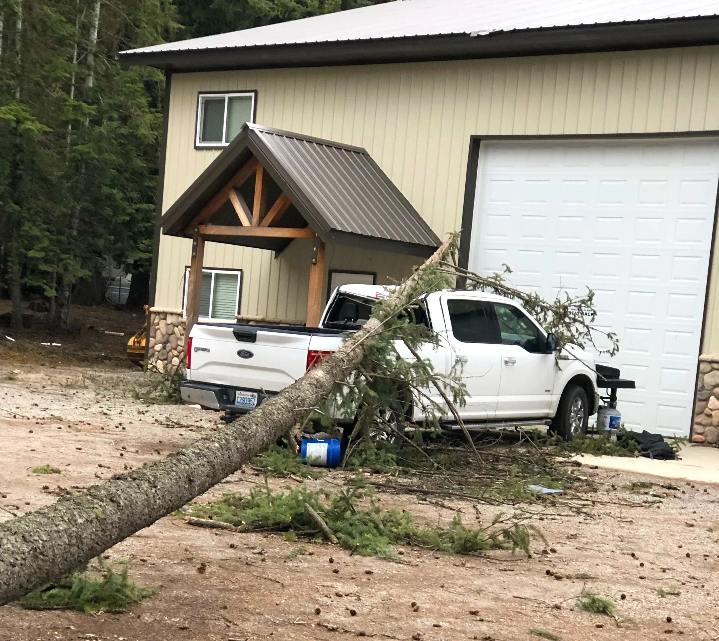 7047+-+Spirit+Lake+Wind+Tree+Damage+1+IMG_3474.jpg