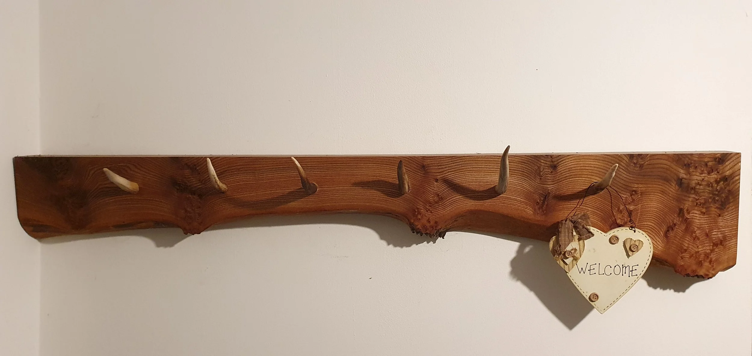 Elm and Antler coat rack 1.jpg
