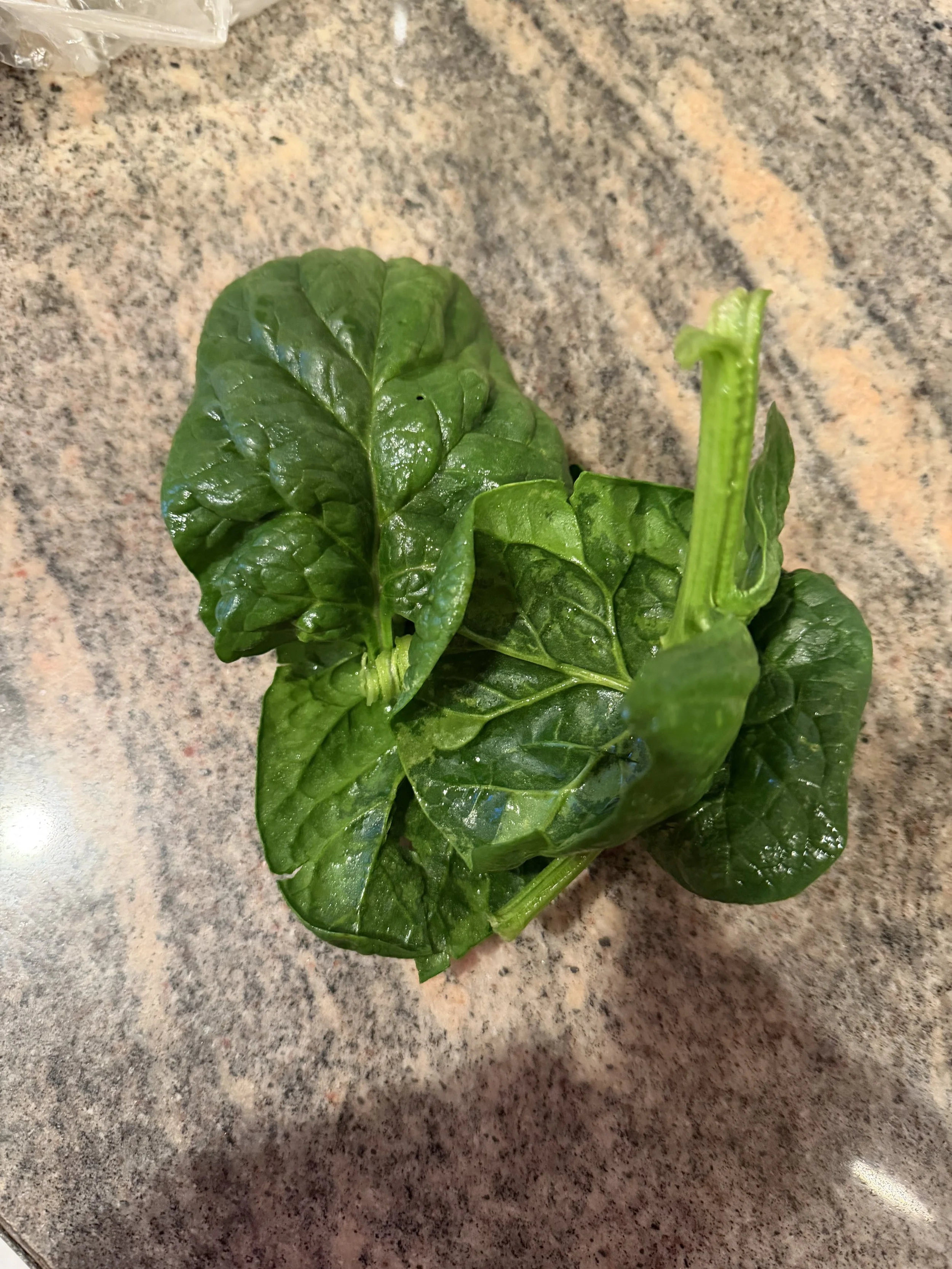 Spinach