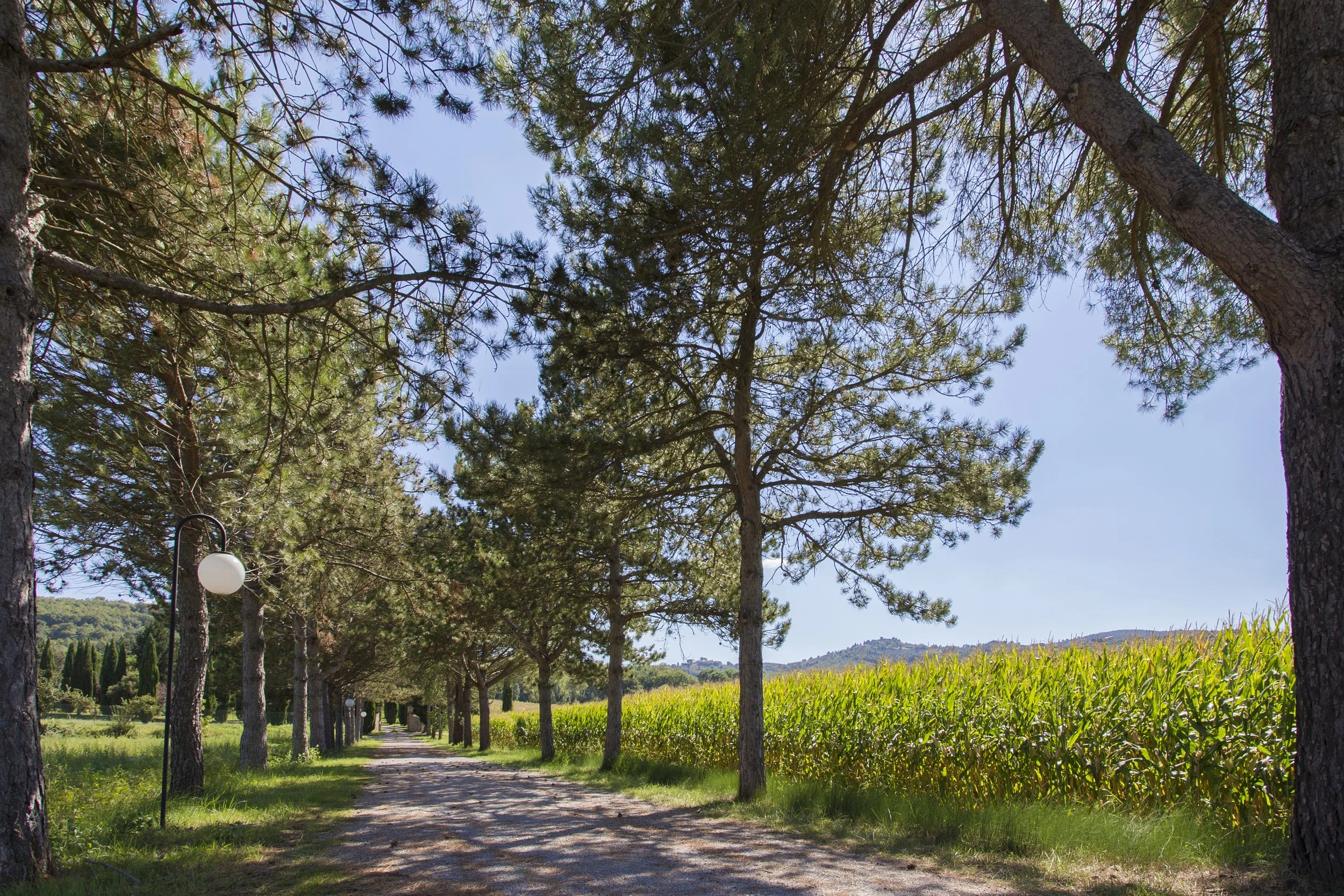 Favola Umbra - The Arrival