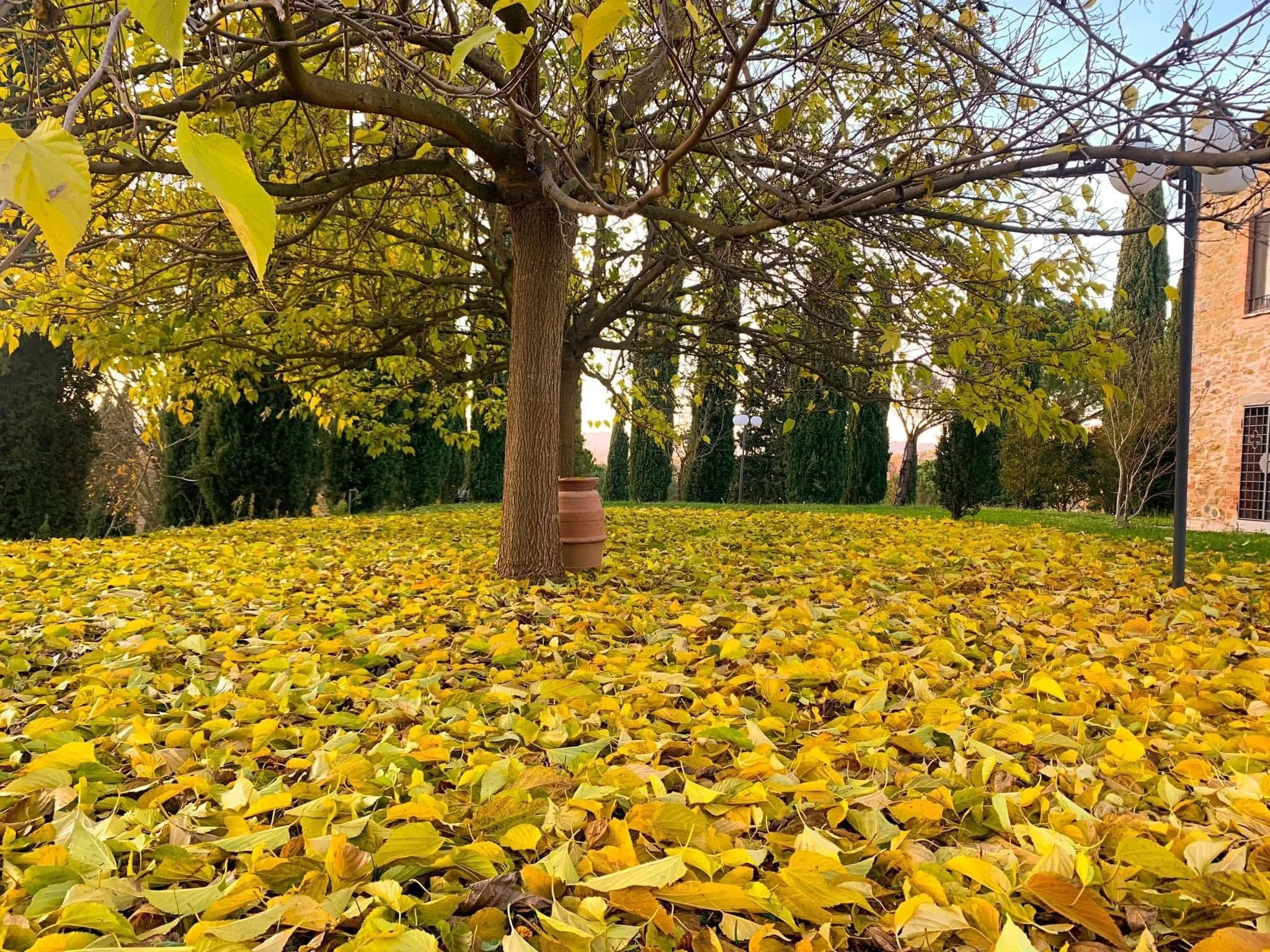 Autumn at Favola Umbra