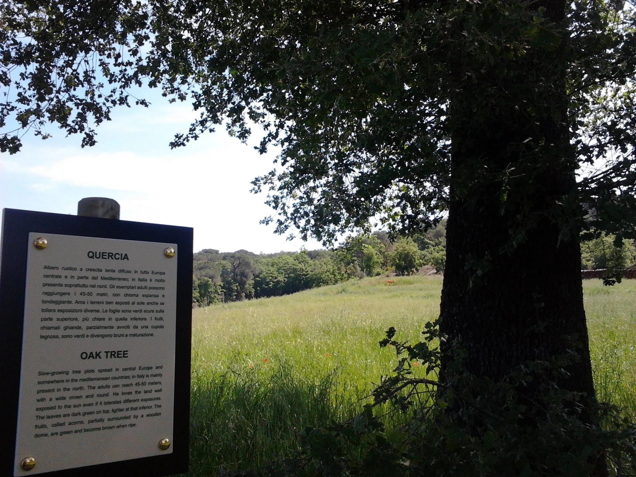 Favola Umbra - The Botanic Trails