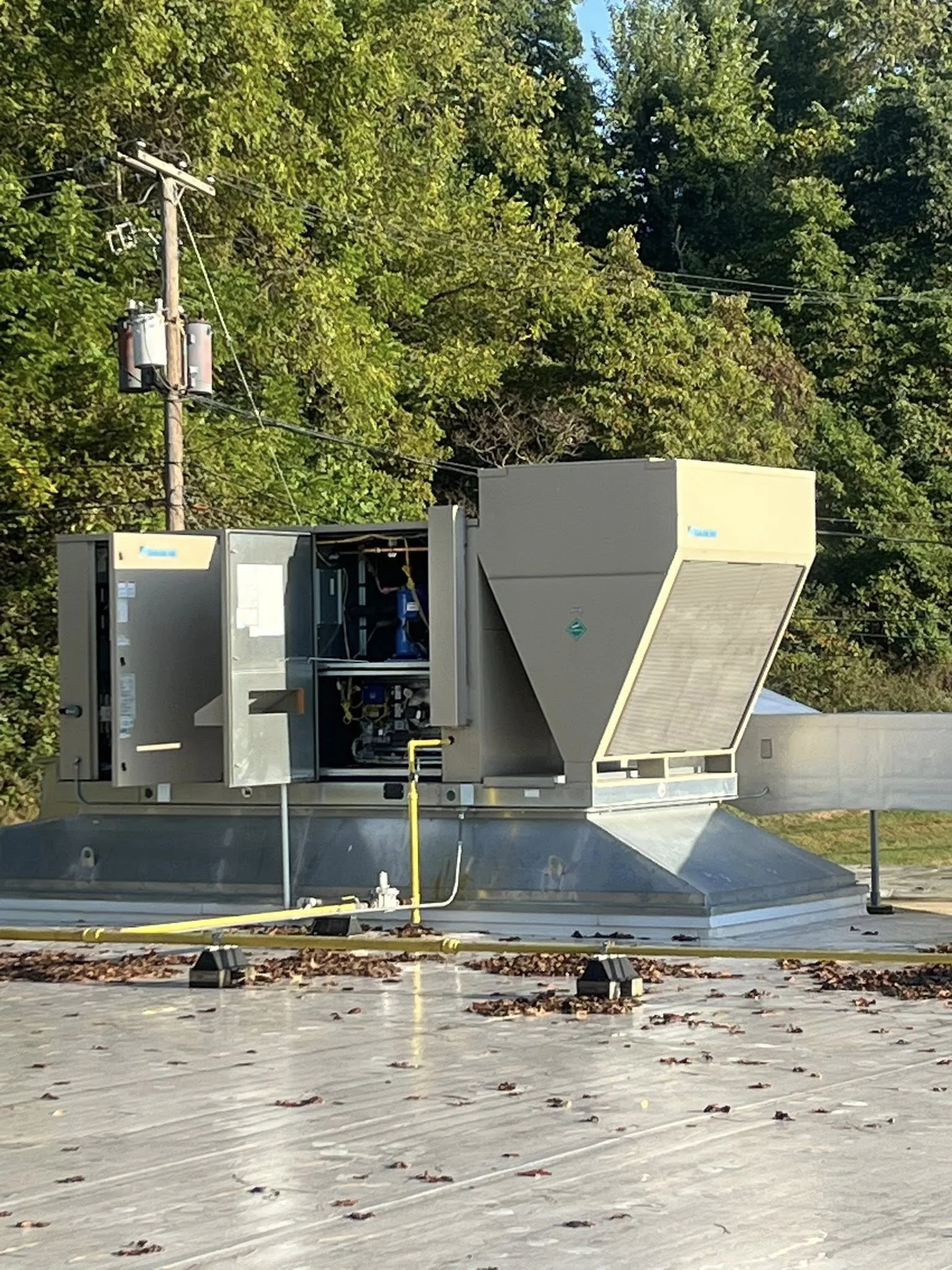 HVAC rooftop unit on a flat roof, with trees and a utility pole in the background.