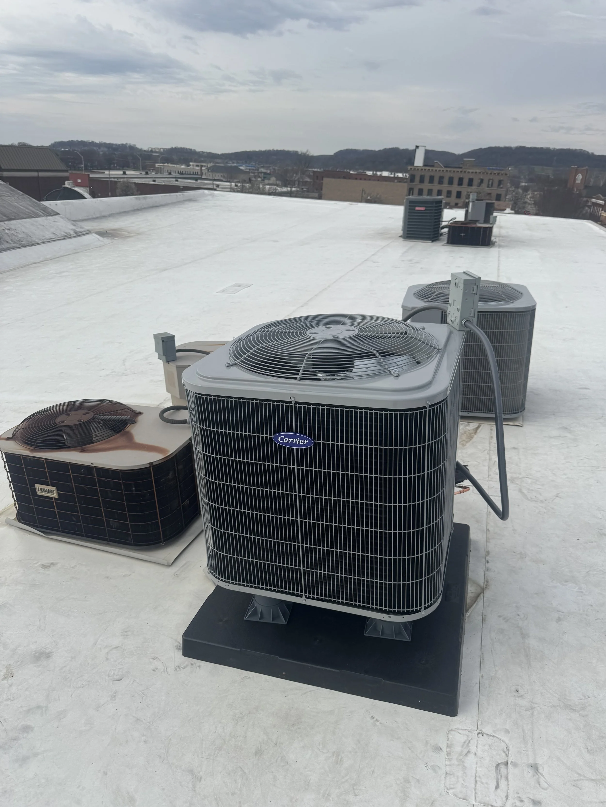 Web site photo 2  4-07 .jpg