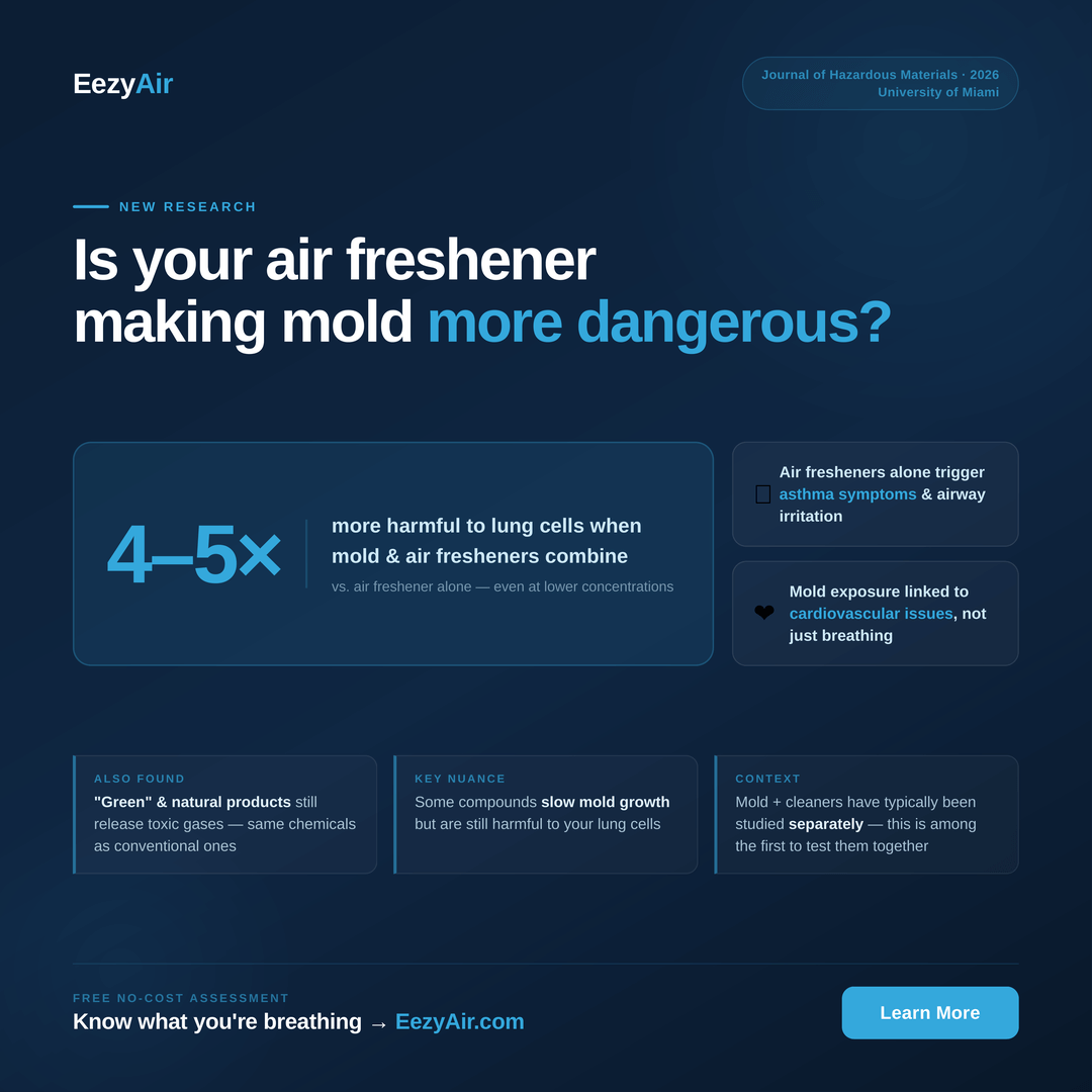 Is Your Air Freshener Making Mold More Dangerous?