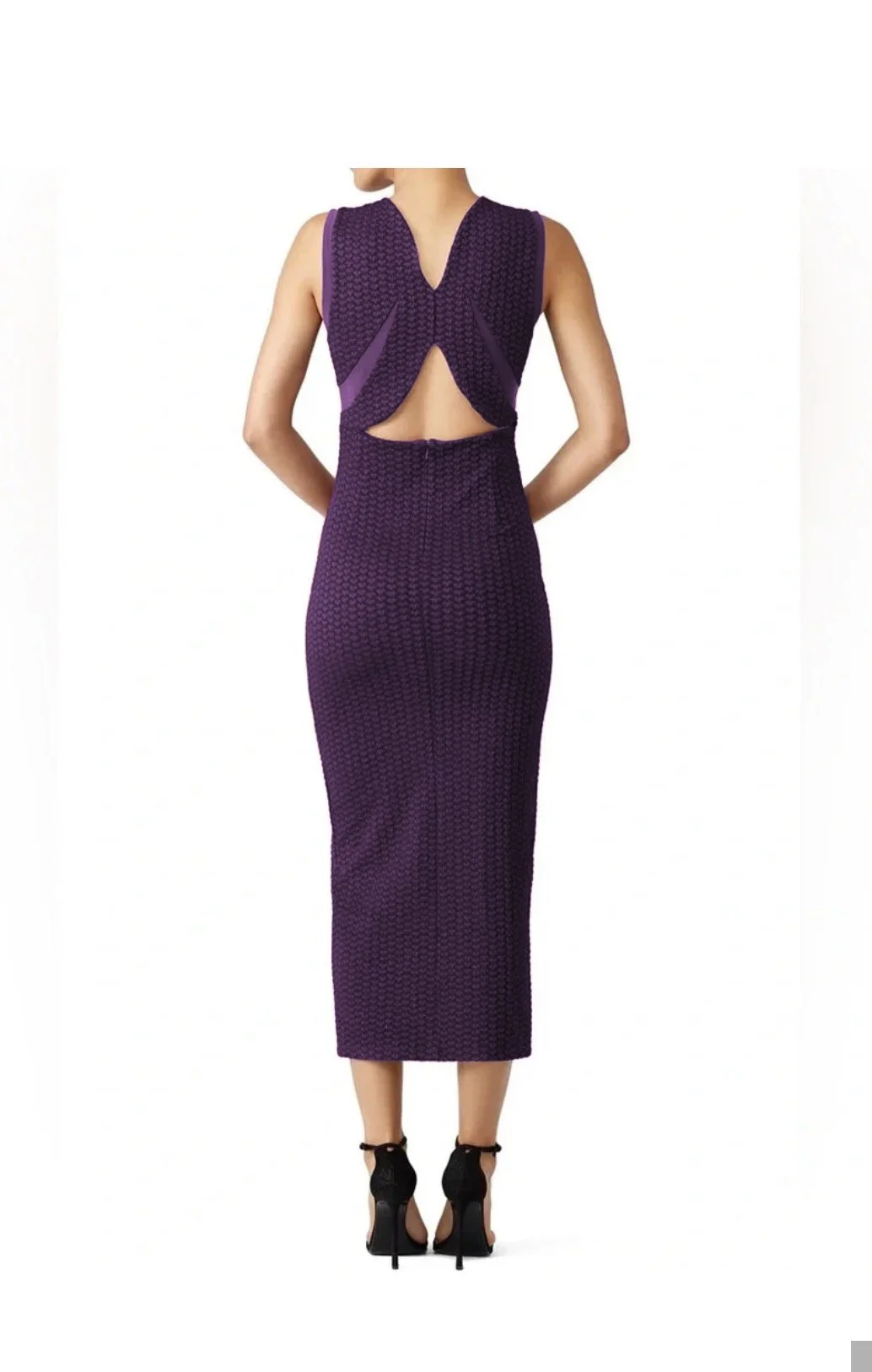 OpeningCeremony2-purple.jpg