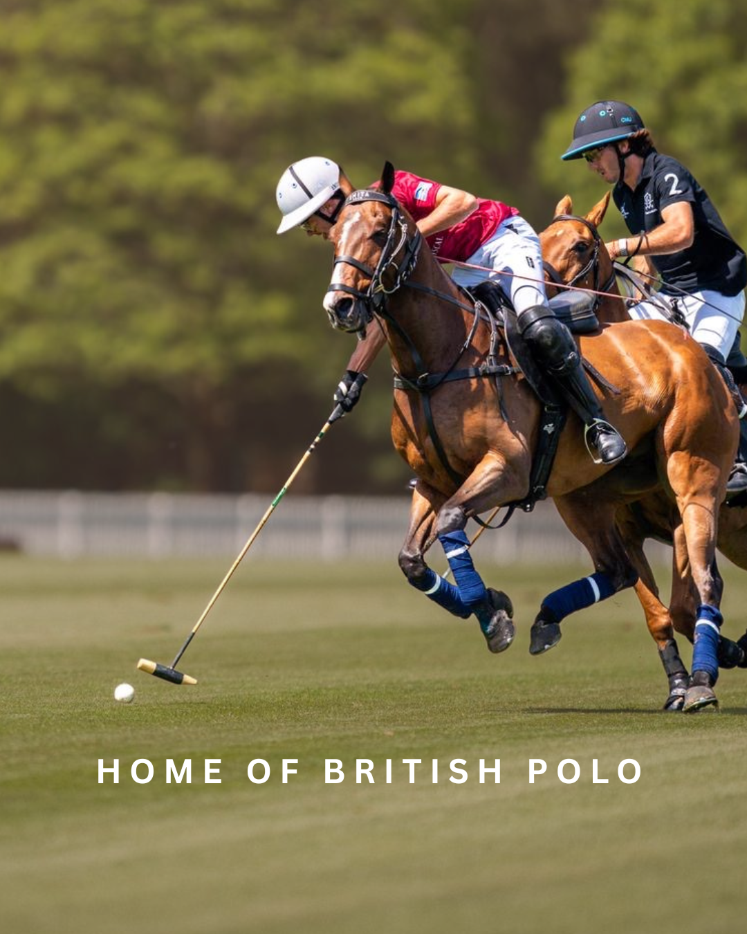 Emita Polo - Social Strategy