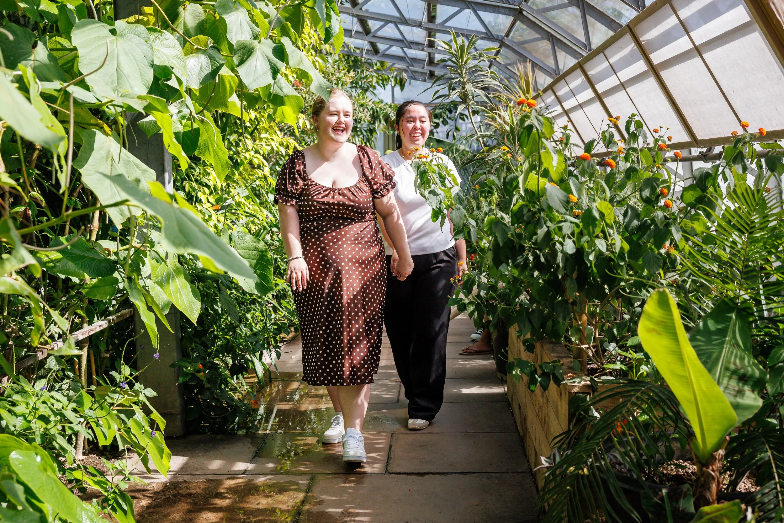 Wide angle shot of aisle in the London butterfly garden greenhouse full of green foliage, a queer couple walking through and smiling. One person is wearing a brown midi polka dot dress, the other a white t-shirt and black trousers.