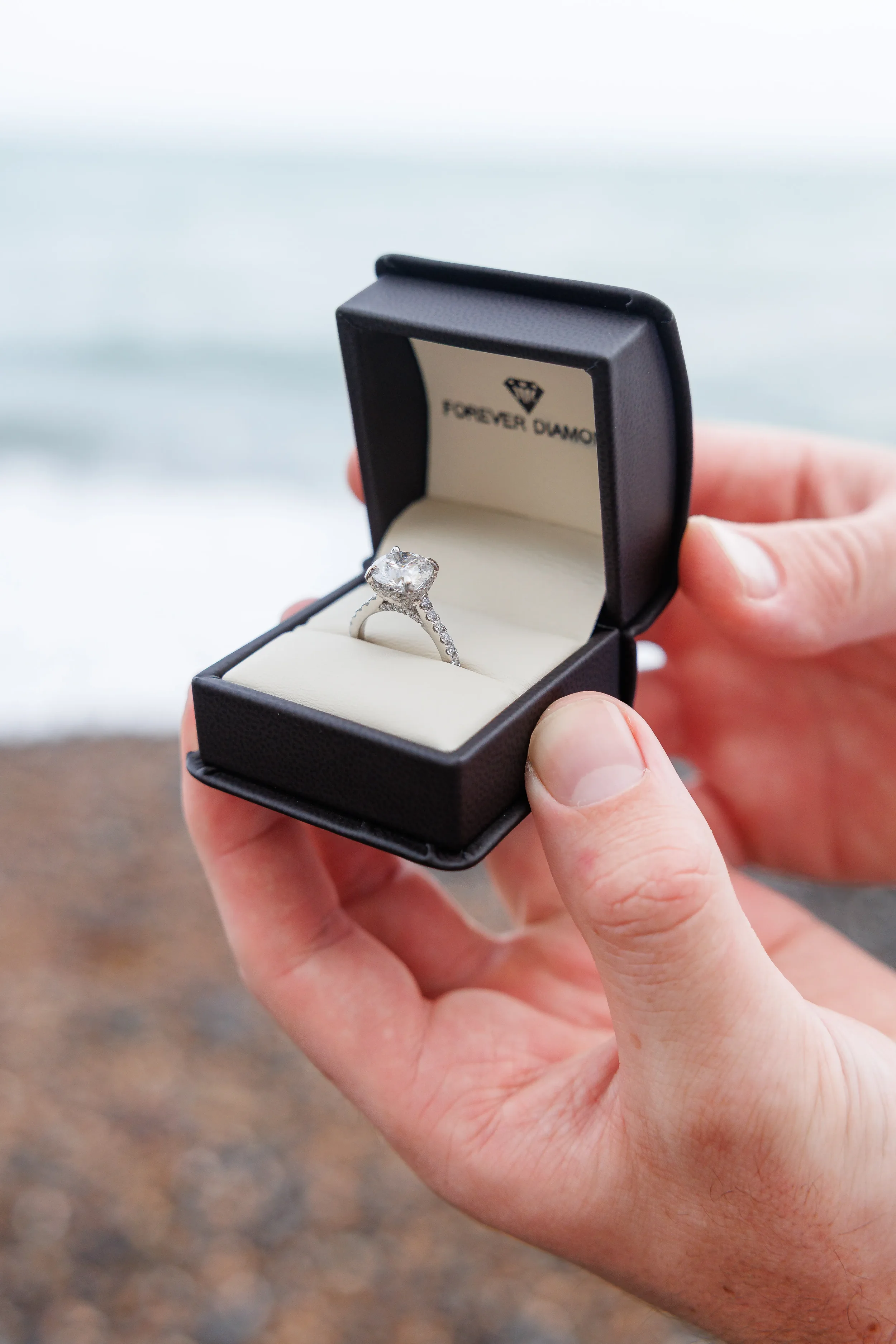 Max & Brielle Proposal White Cliffs Nastia Photography-94.webp