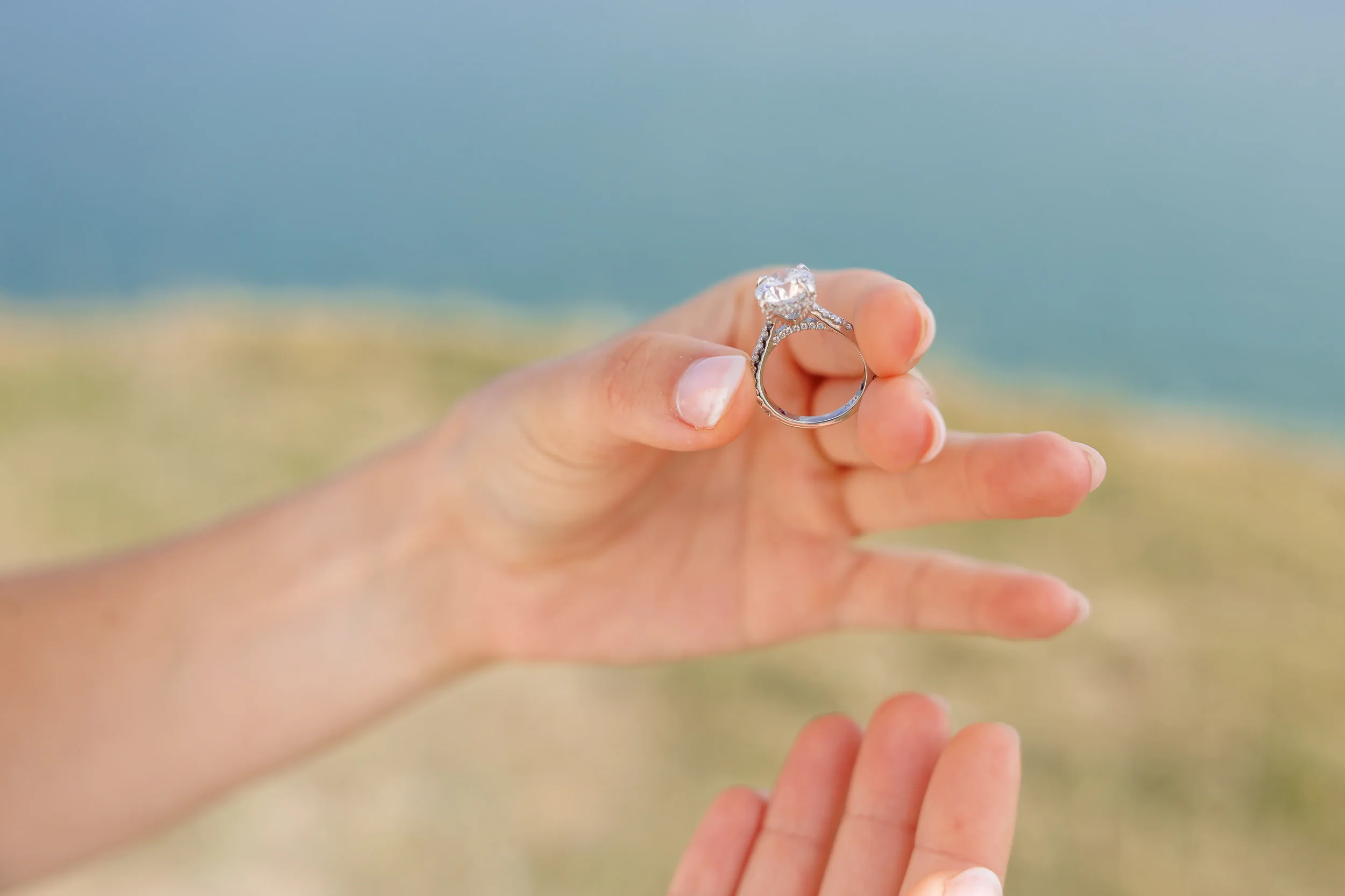 Max & Brielle Proposal White Cliffs Nastia Photography-41.webp