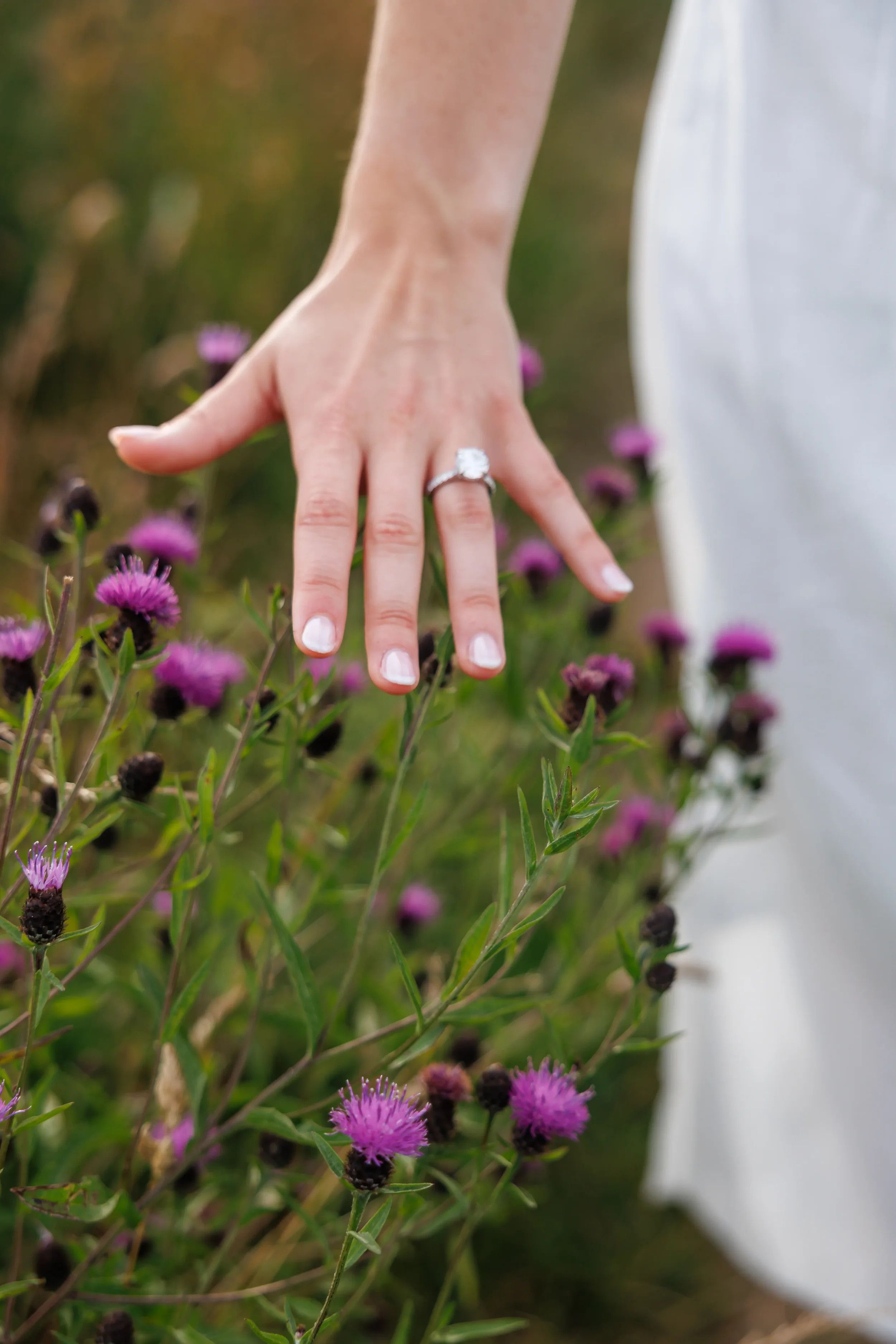 Max & Brielle Proposal White Cliffs Nastia Photography-120.webp