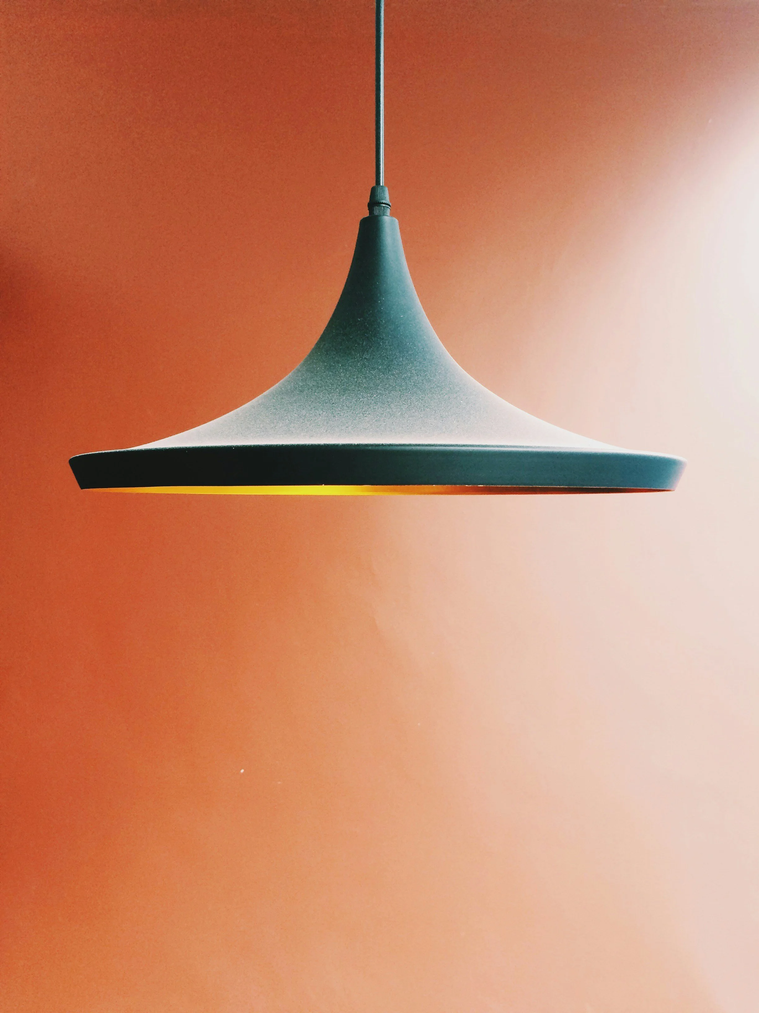 Modern black ceiling pendant light hanging against a reddish-brown wall.