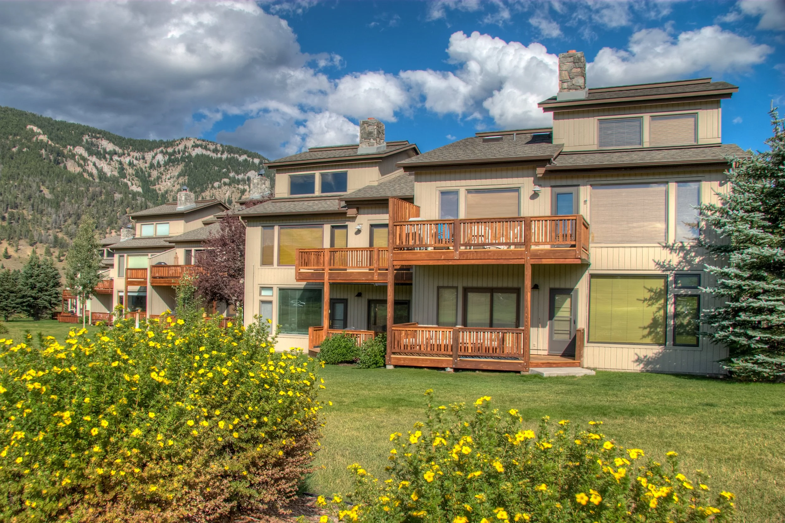 Multiple modern townhouses with wood decks and windows, surrounded by a lawn, yellow flowers, trees, and mountains under a partly cloudy sky.