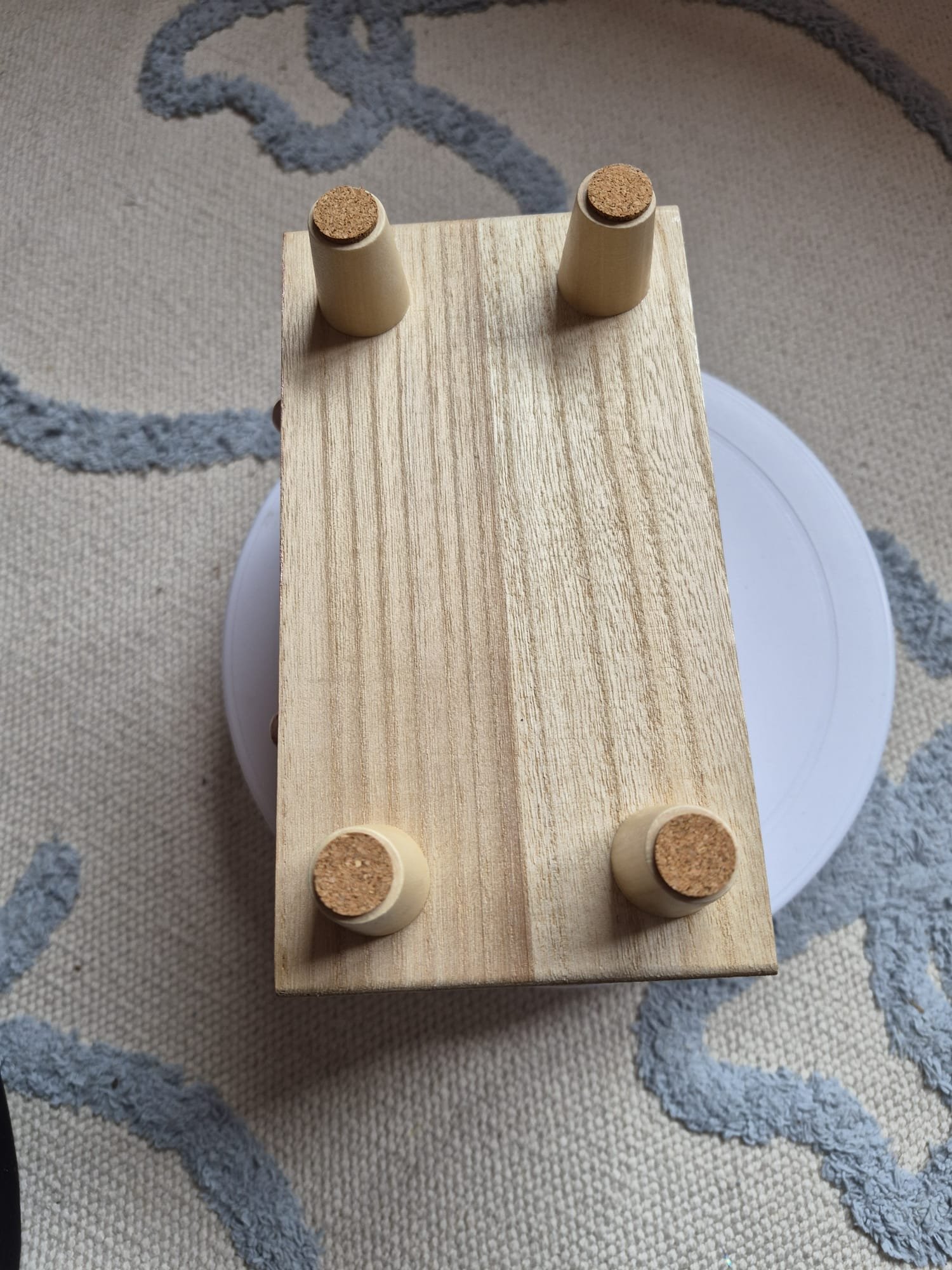 Tree - Underneath.jpeg