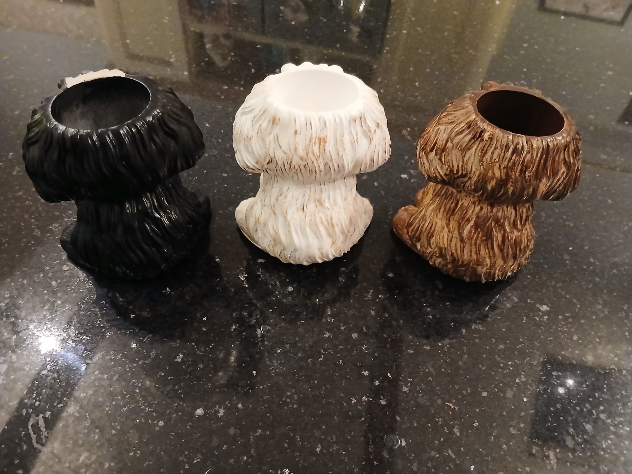 Three dogs backs.jpg