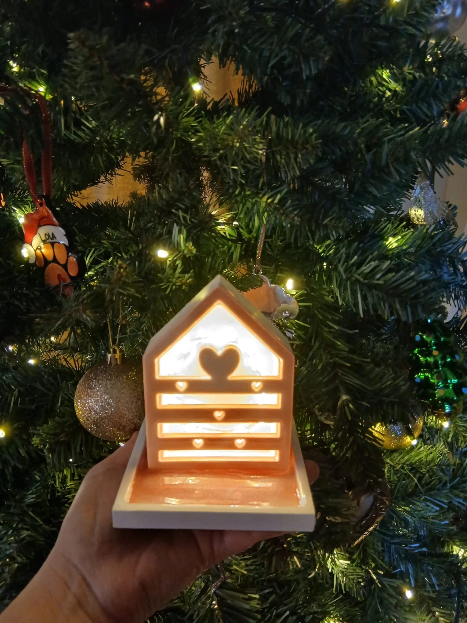 Heart Lightbox1.jpeg