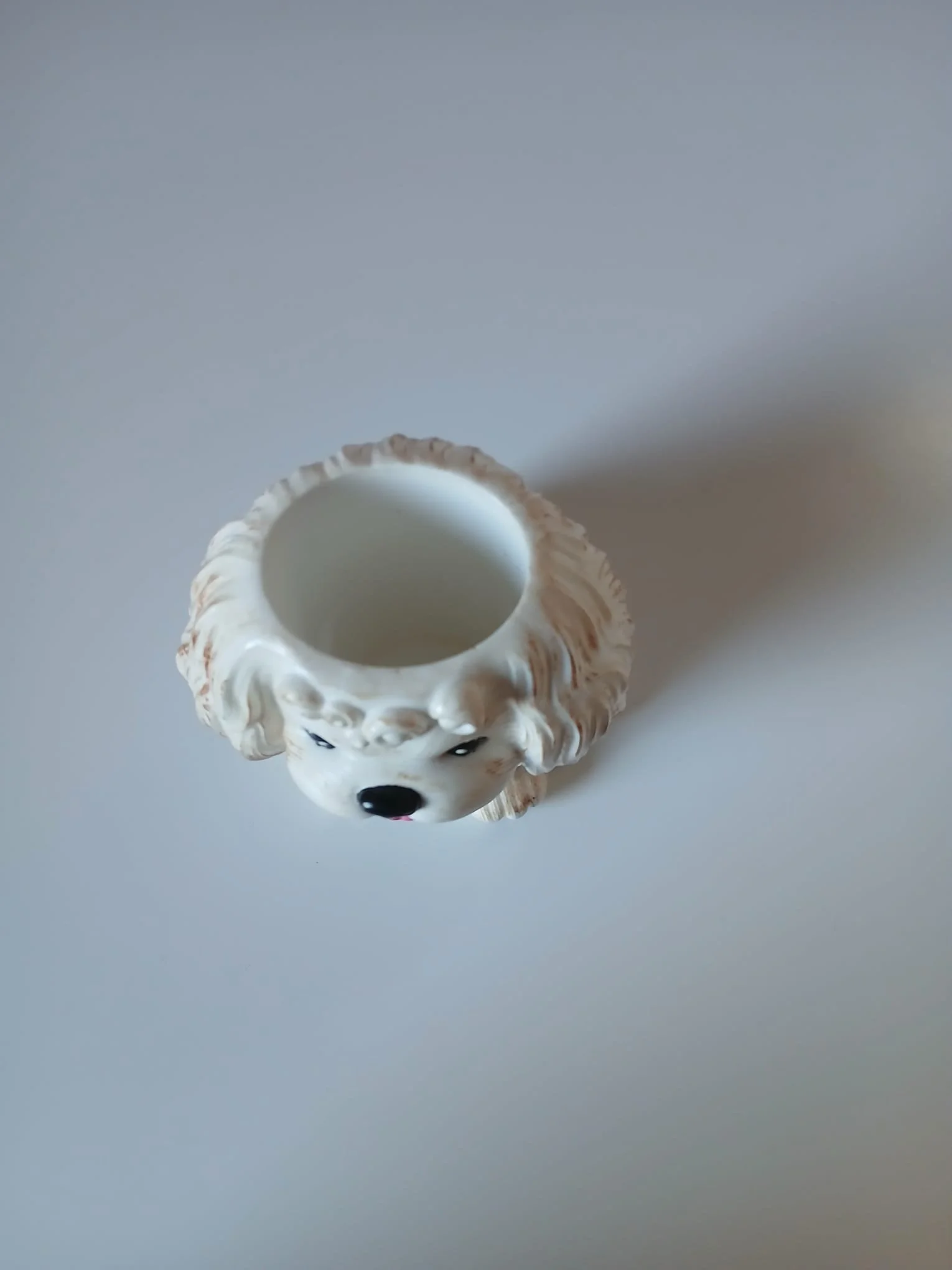 Dog Pencil Holder - Birds eye view2.jpg