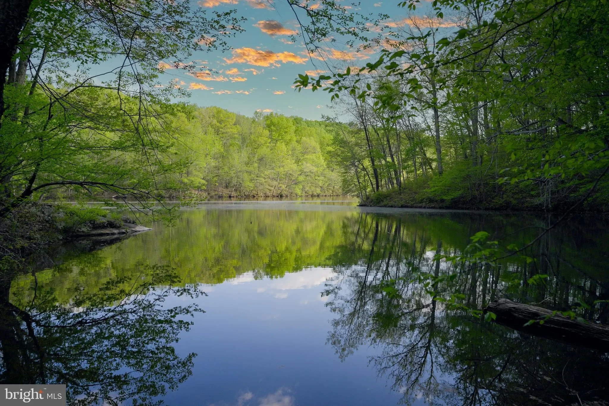 8593 Reservoir_Reservoir.webp