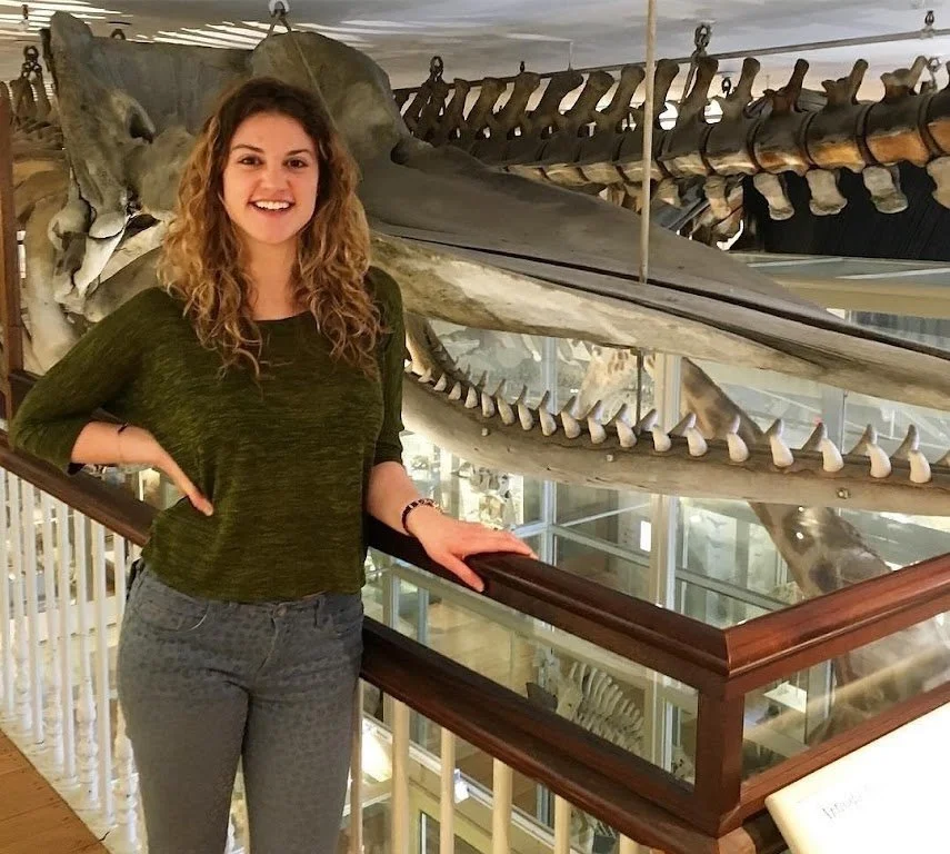 Jennifer smiling in front of an animal skeleton at the Harvard Museum of Natural History