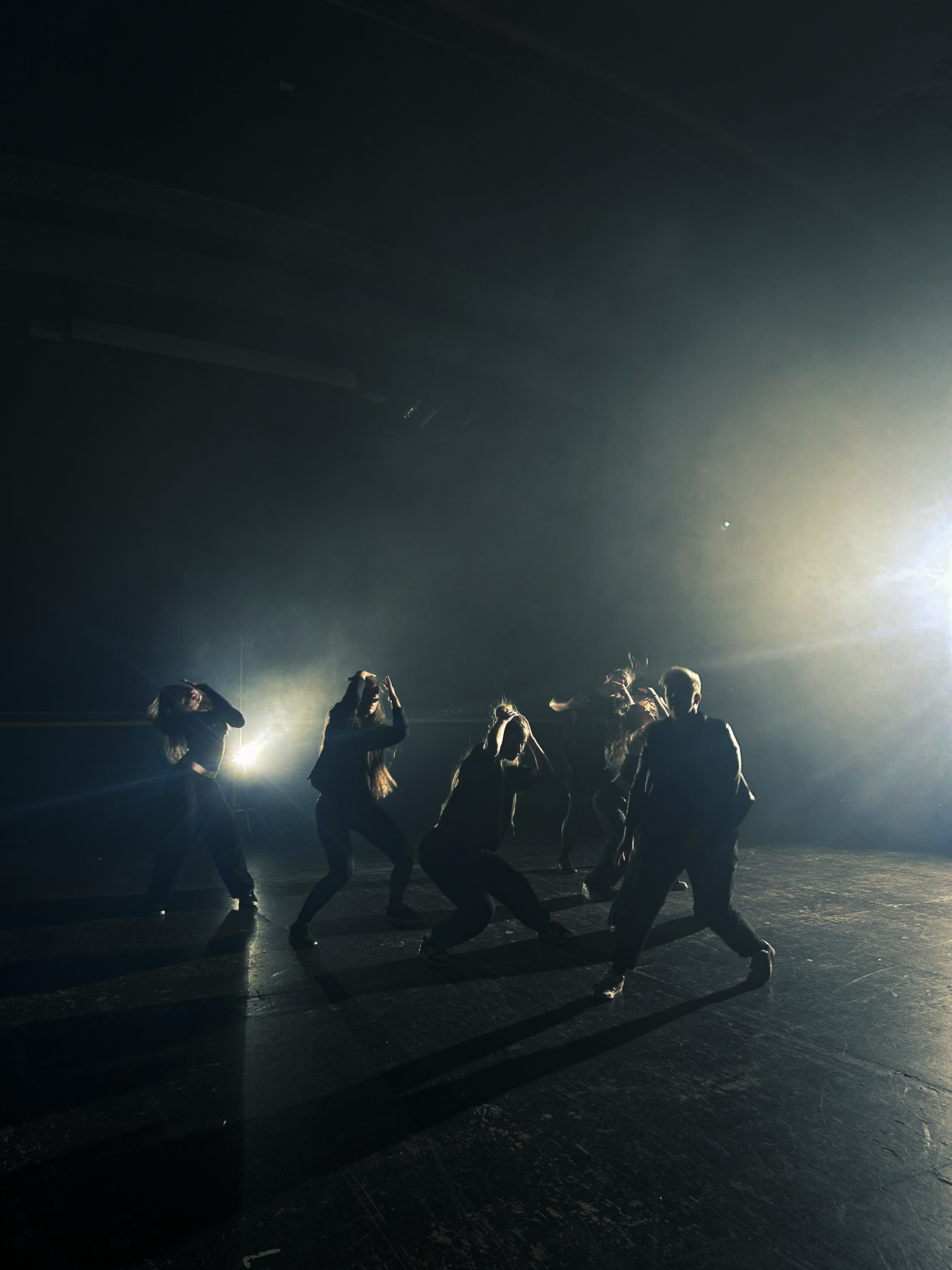 A group of people dancing in a dark room with bright backlighting creating long shadows.