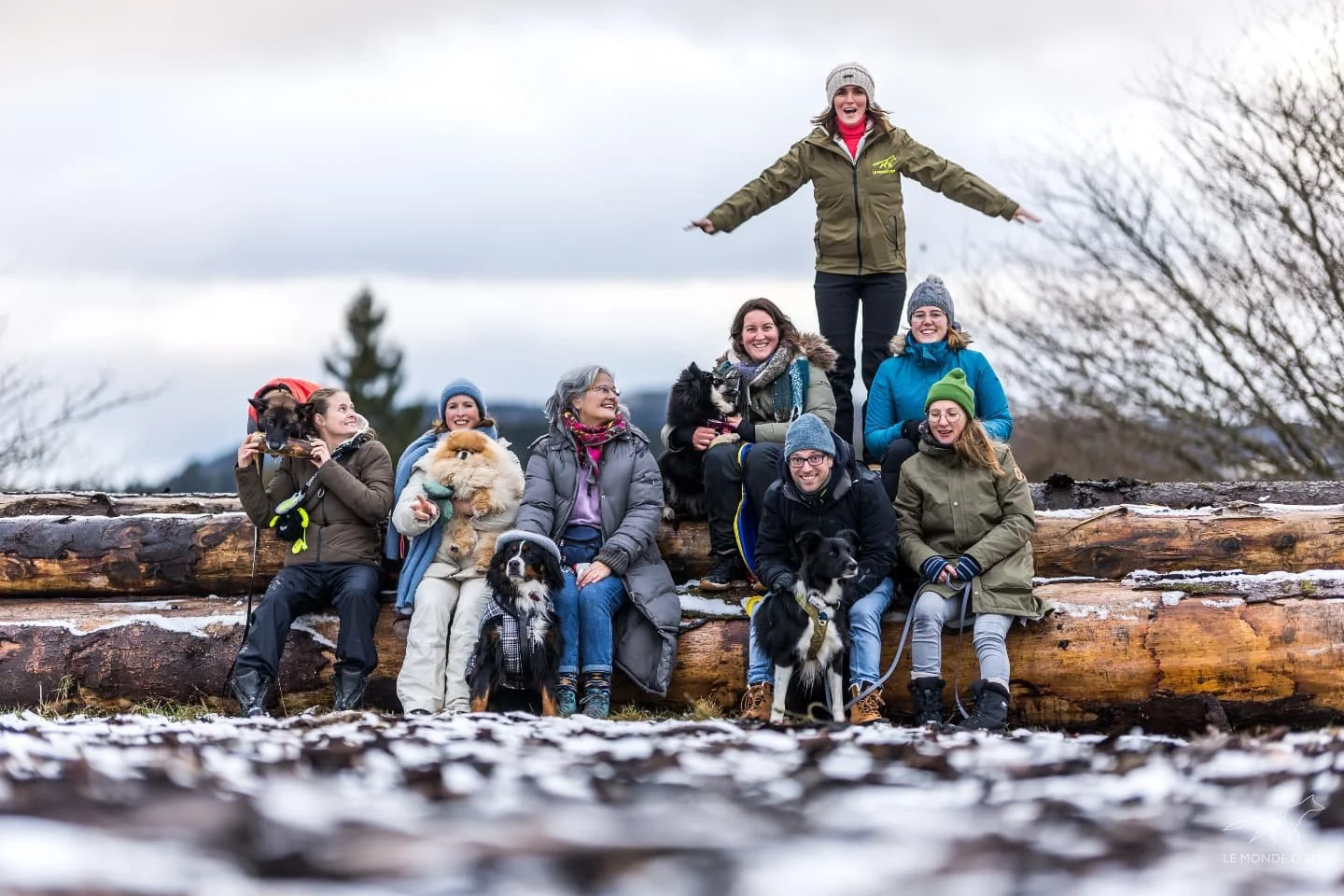 Groupe de personnes et chiens posant sur des troncs d'arbres après une randonnée en hiver, vêtus de manteaux chauds et bonnets, avec un ciel nuageux en arrière-plan.