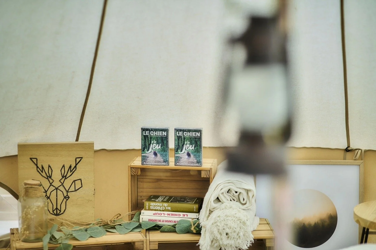 Une décoration intérieure avec des livres, des textiles, une affiche de lune, et une oeuvre d'art représentant une tête de cerf stylisée.