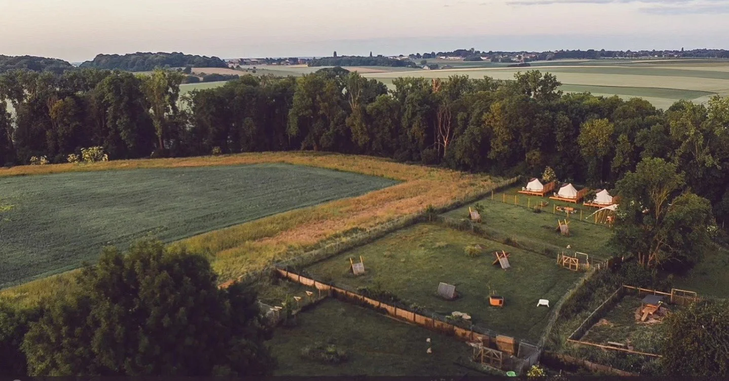 Poulailler avec plusieurs petits bâtiments en bois dans un espace clôturé, entouré de champs et d'arbres.