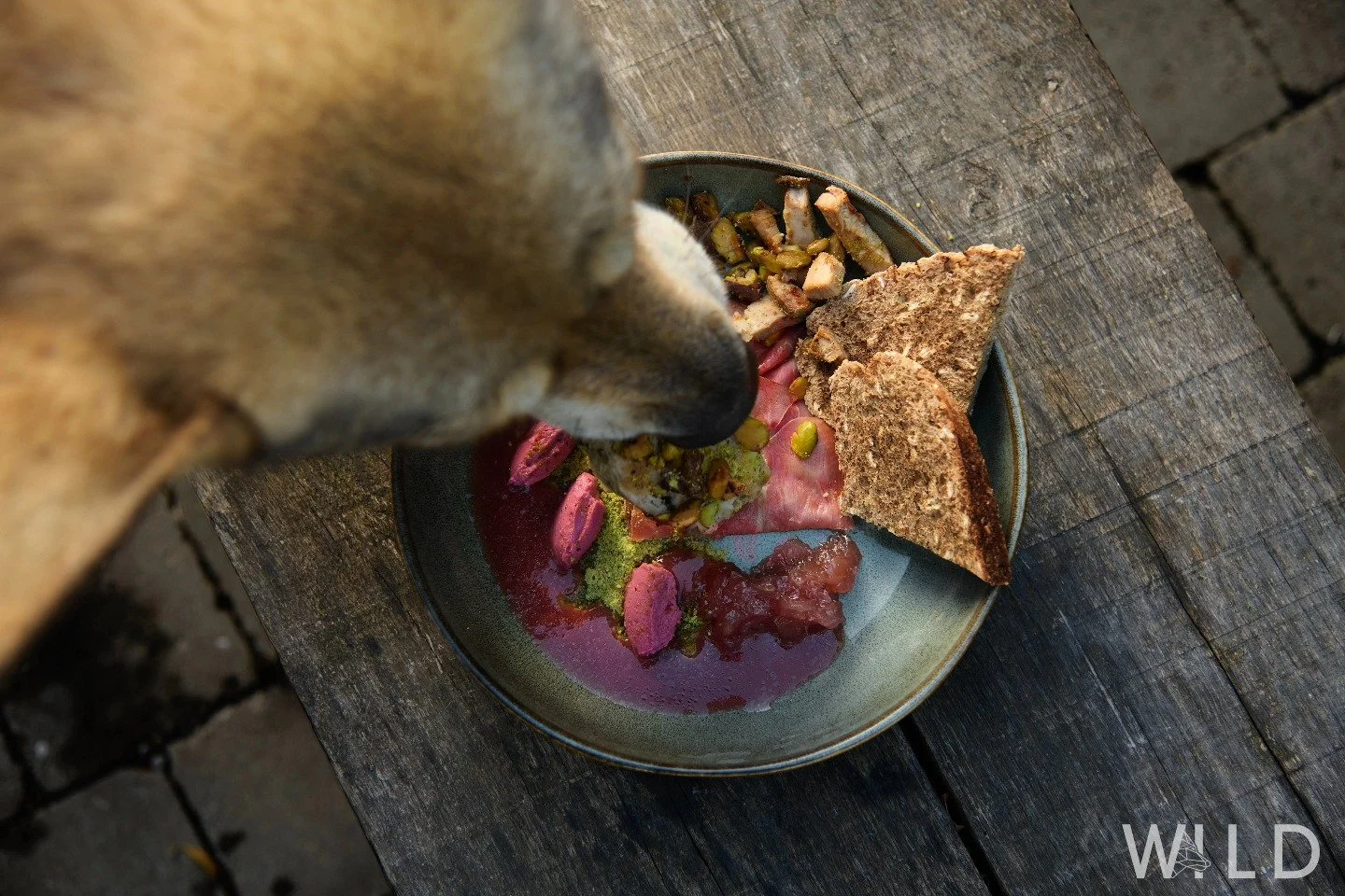 Un chien mange de la nourriture dans un bol placé sur une table en bois.