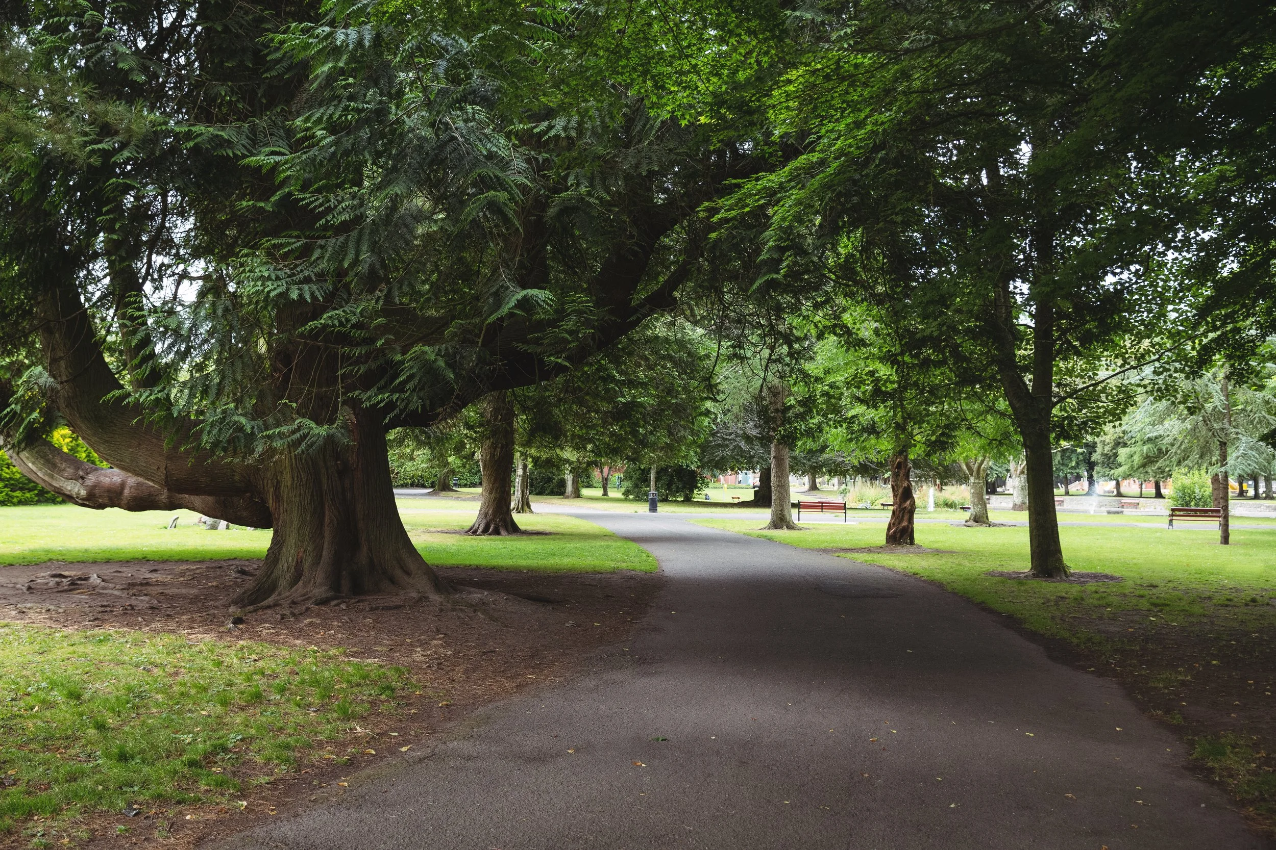 A paved walkway winds through a lush green park with large trees, grass, benches, and a fountain in the distance.