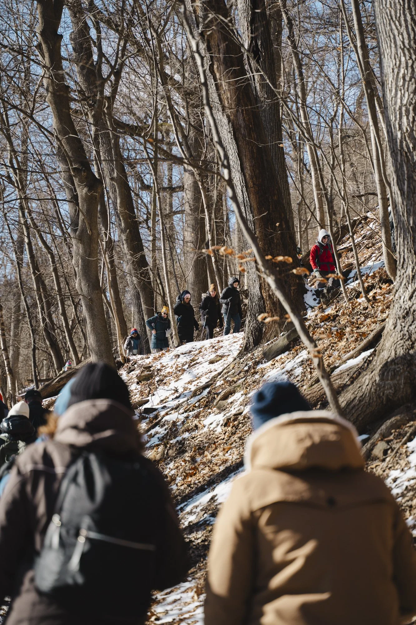 First Hike of the Year 2026 (62 of 110).jpg