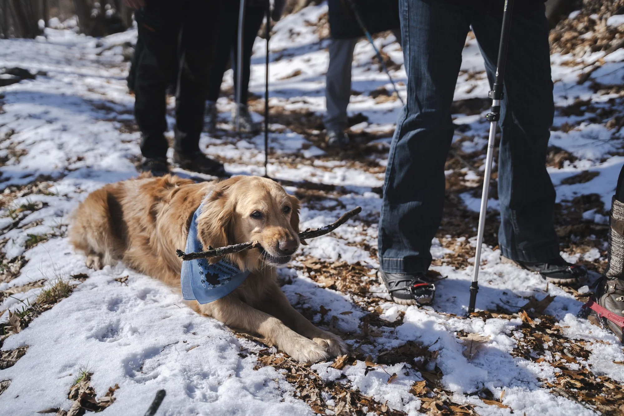 First Hike of the Year 2026 (69 of 110).jpg