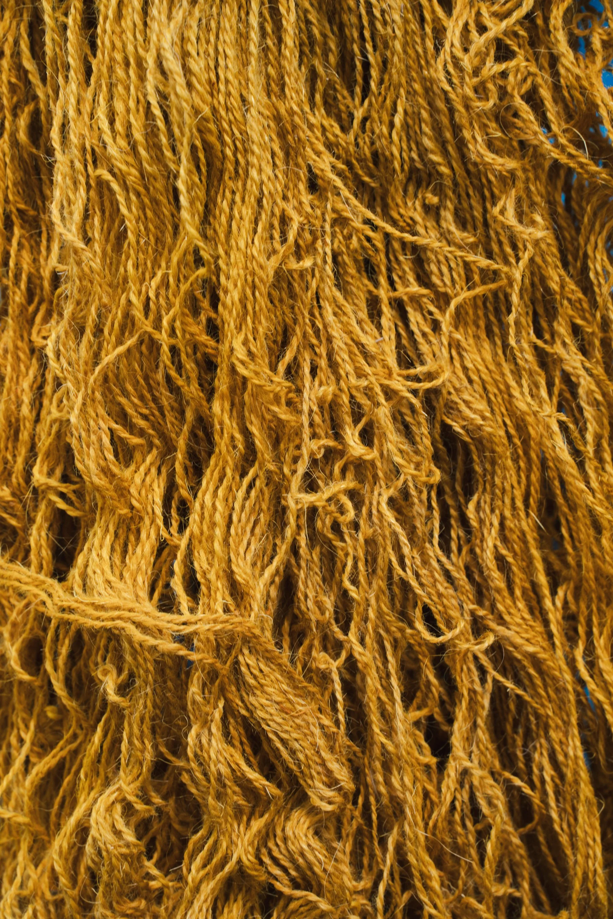 DyeMasterRoughDraft (76 of 197).jpg