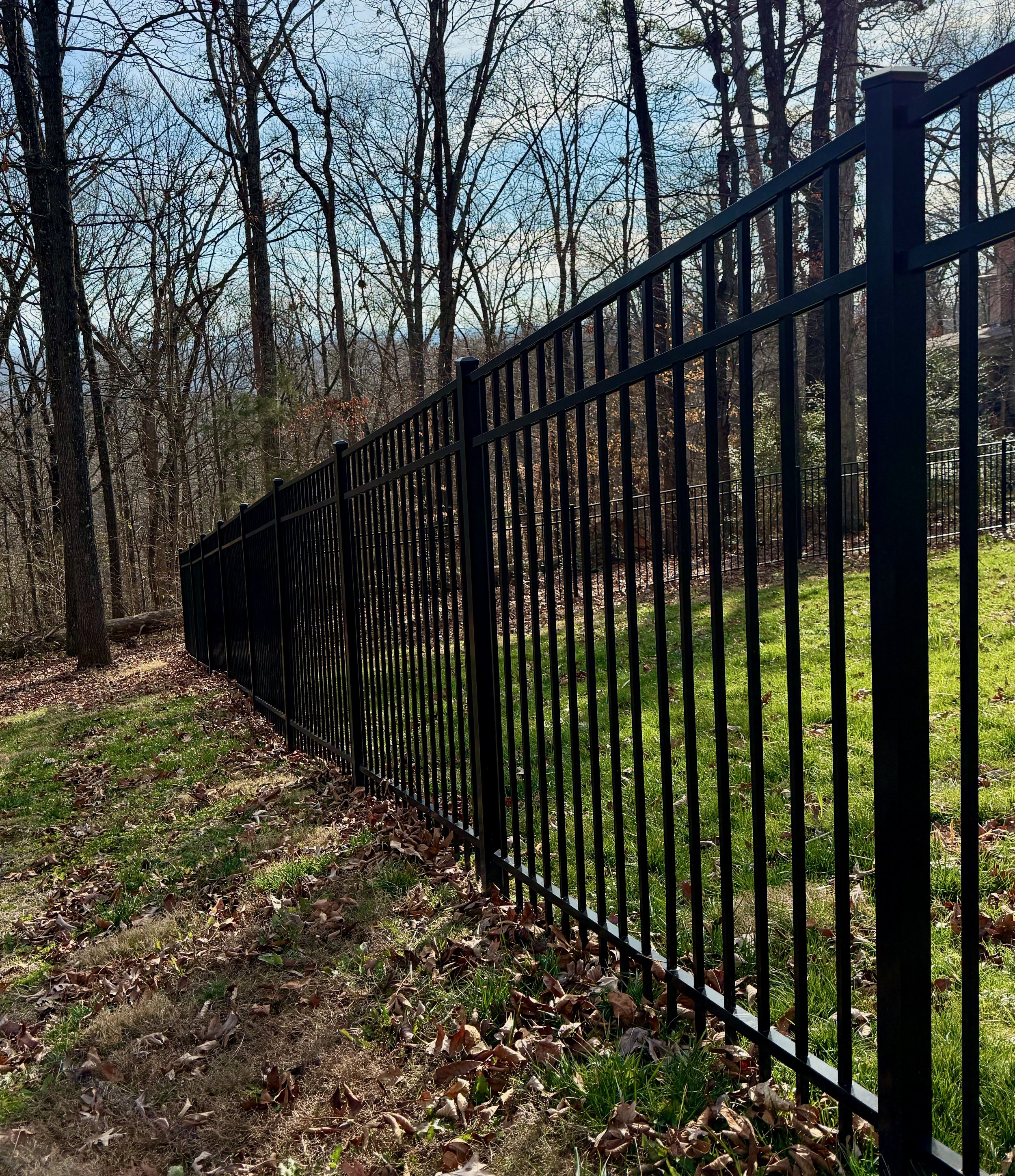 Black metal fence along a grassy yard with fallen leaves, with a wooded area and bare trees in the background under a partly cloudy sky.