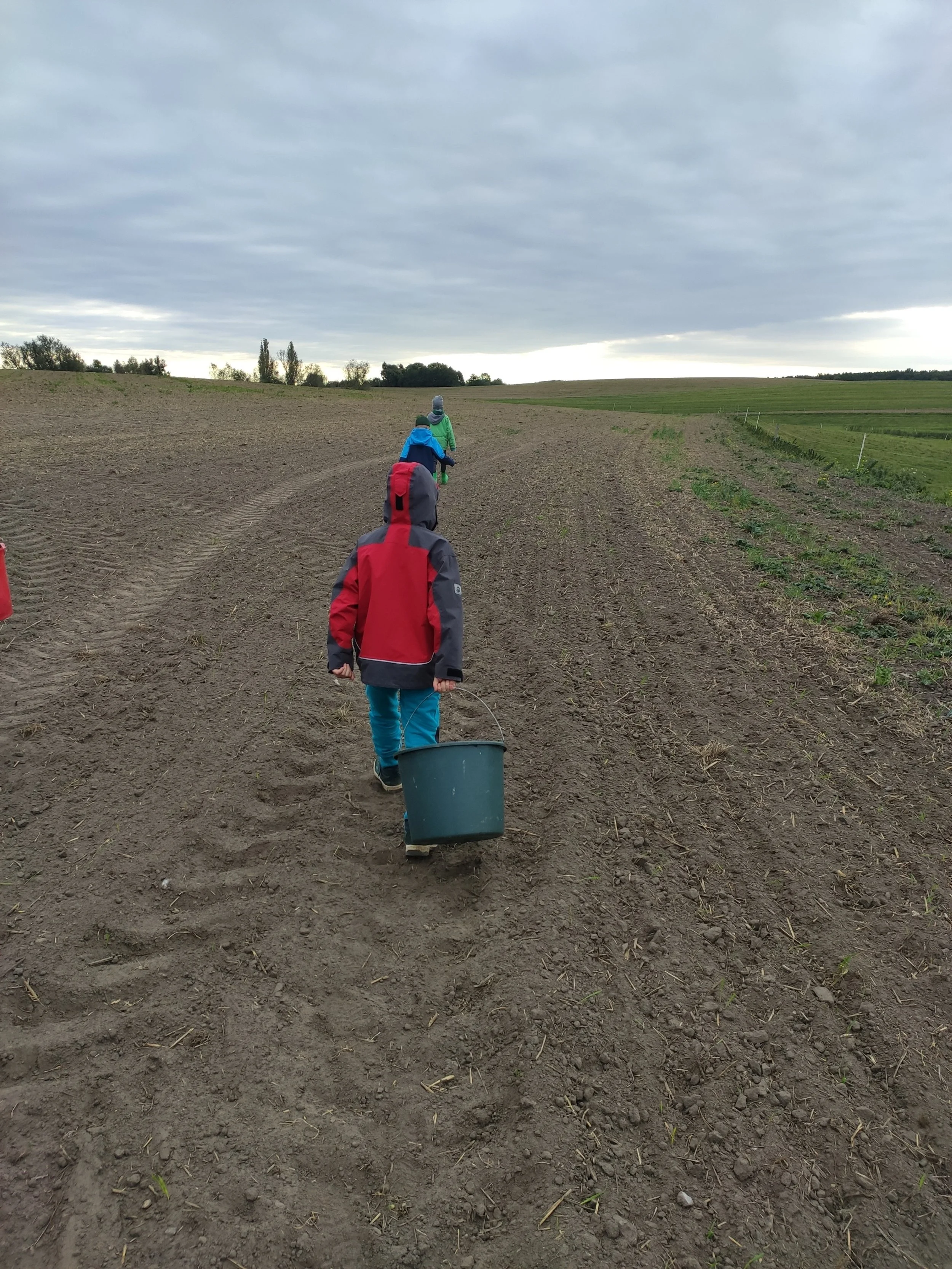 Hofentdecker (5 bis 9 Jahre) Frühling/Sommer