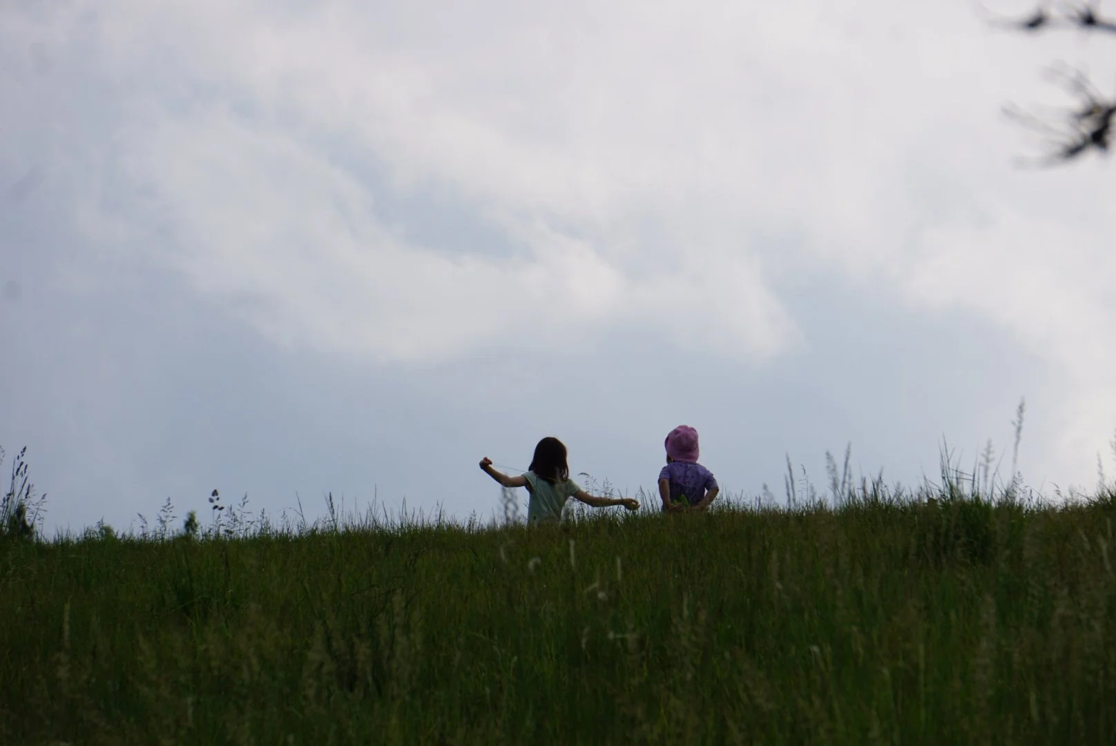 Zwei Kinder auf Entdeckungstour beim Wildnisabenteuer auf der Wiese.