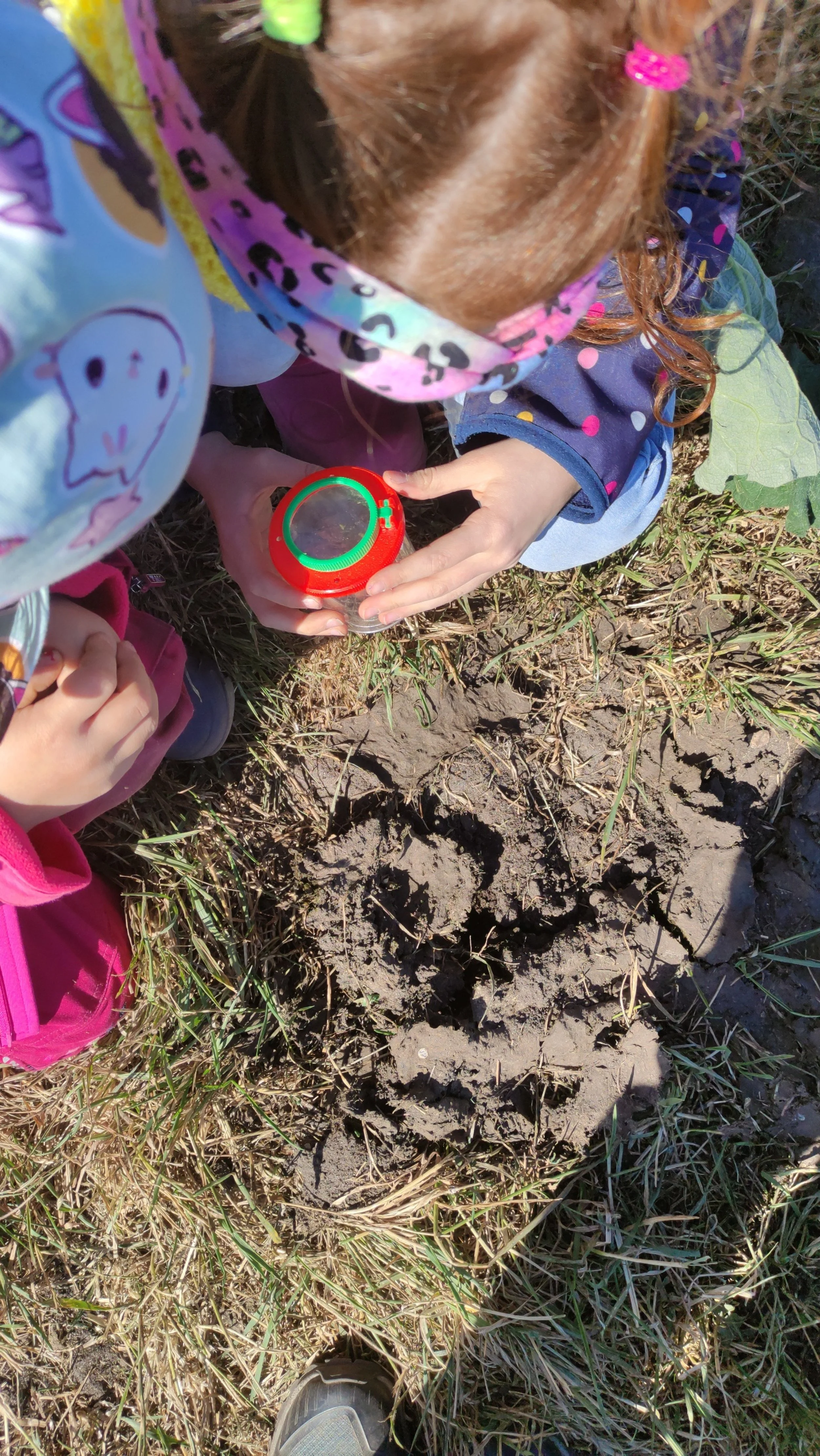 Kükentreff (bis 4 Jahre) Frühling/Sommer