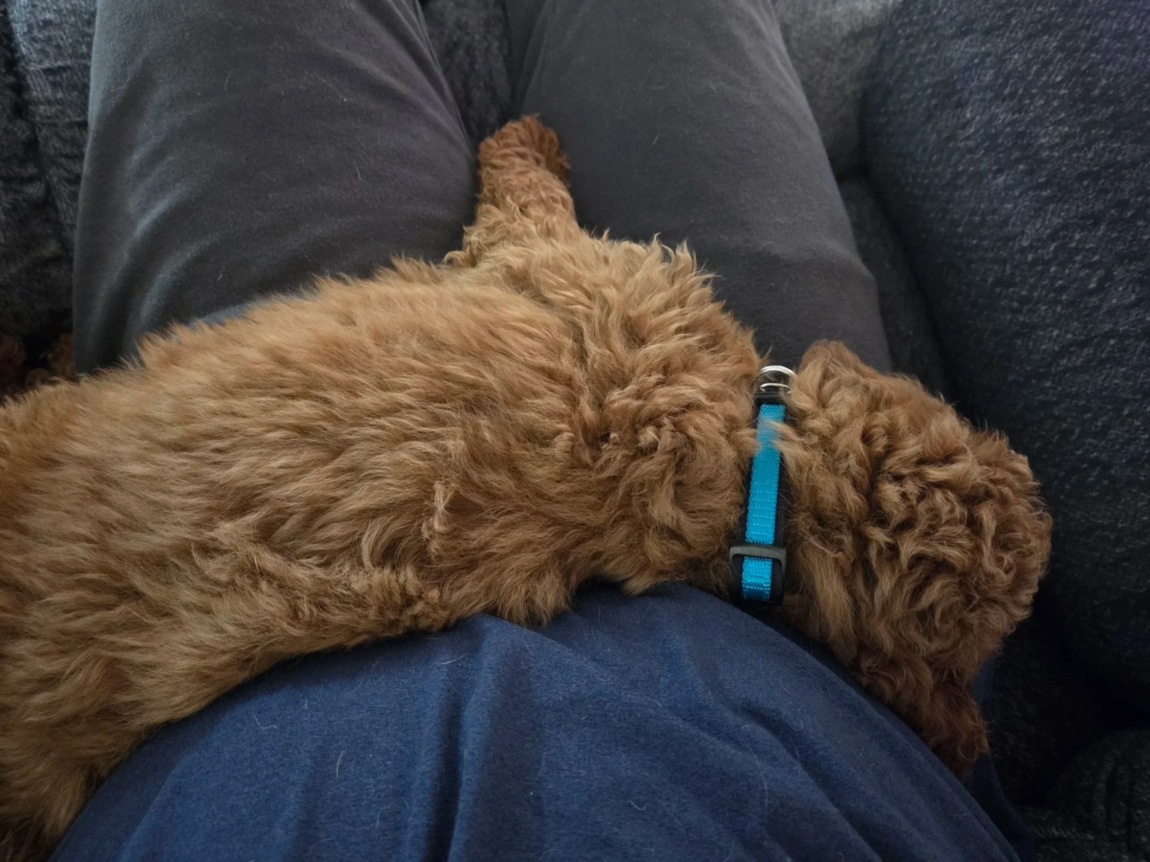 The First 48 Hours: Charlie’s Homecoming