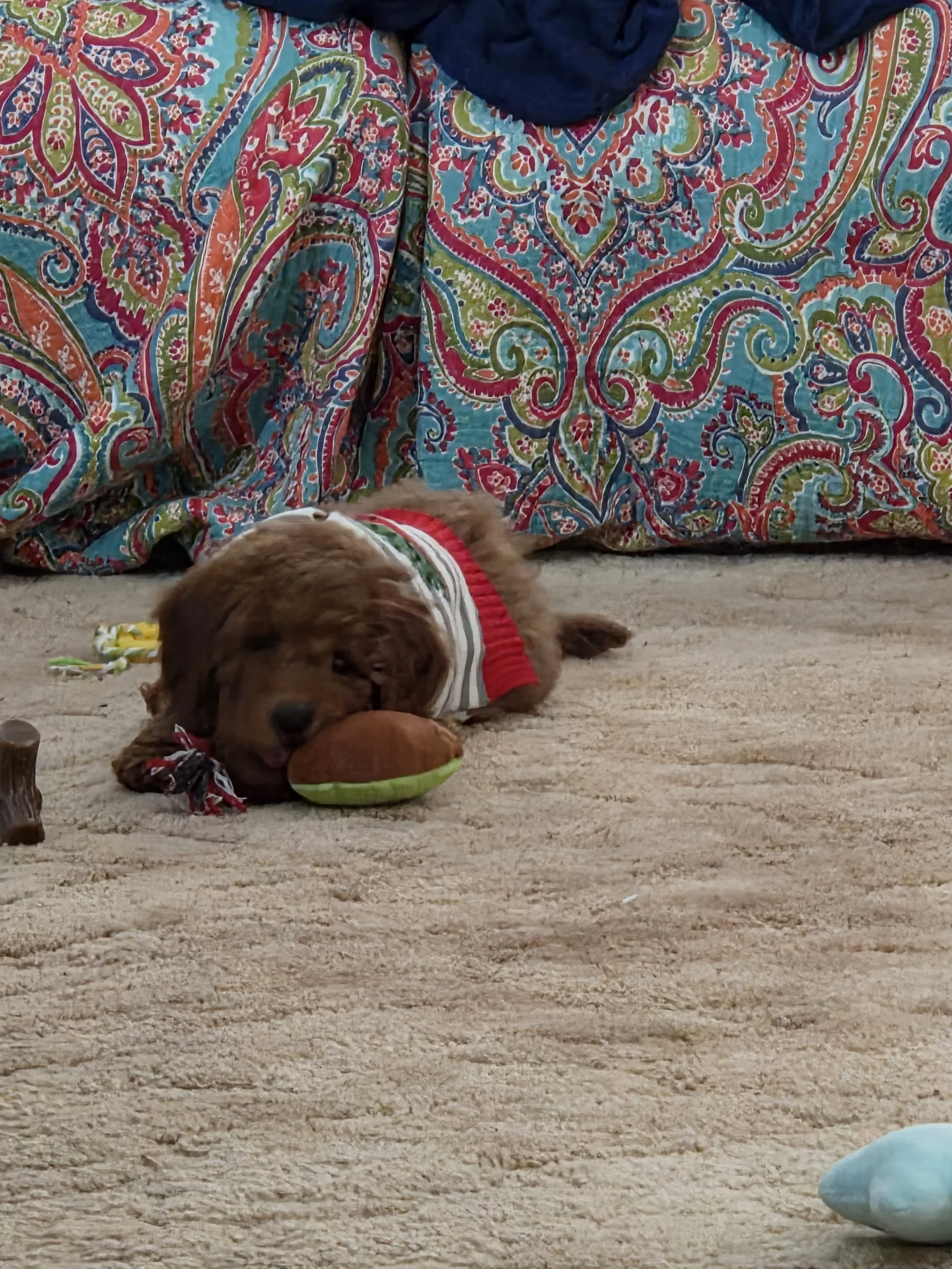 The 13-Week Milestone (What to Expect)