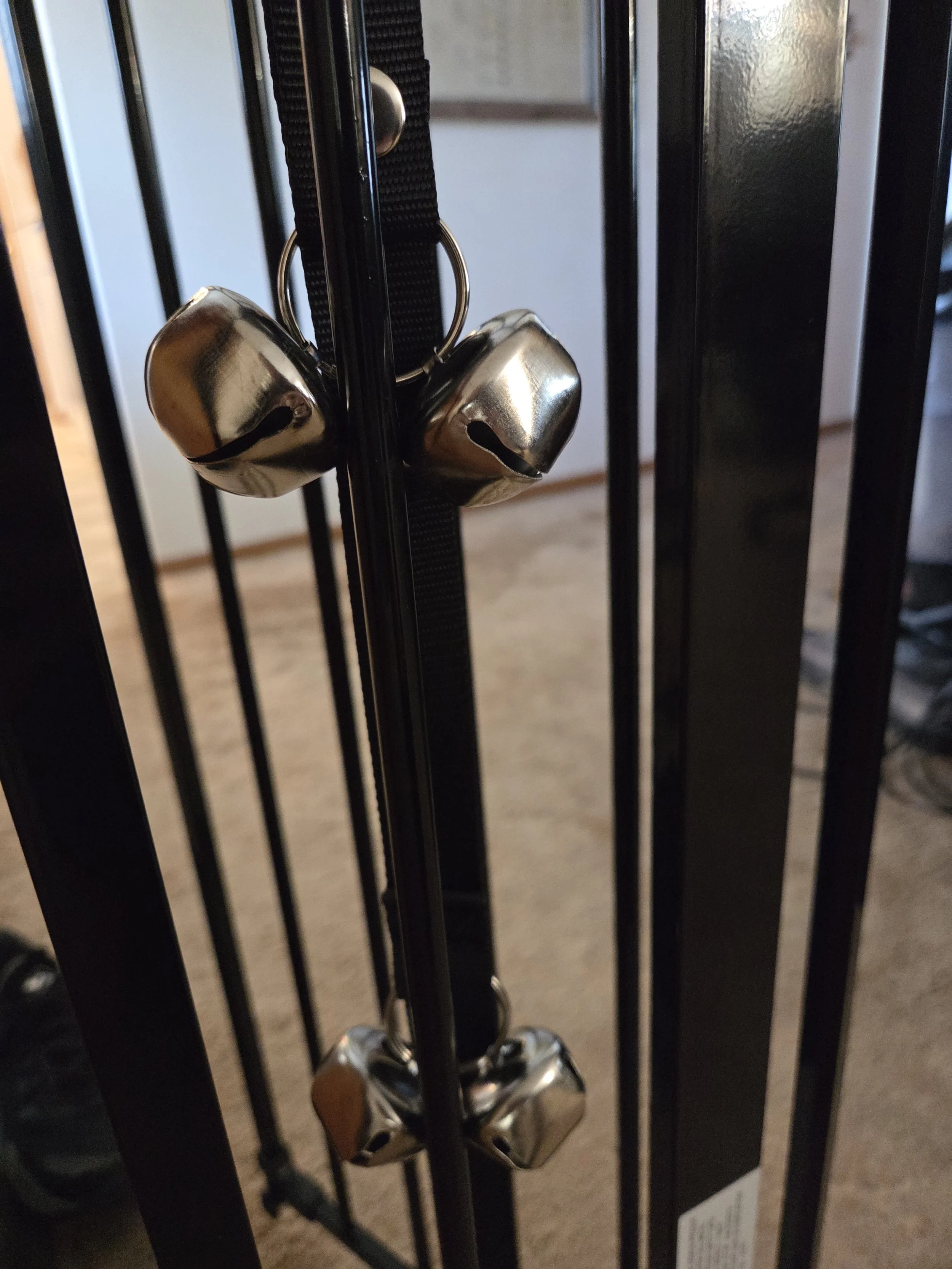 potty bell we use for charlie at the door