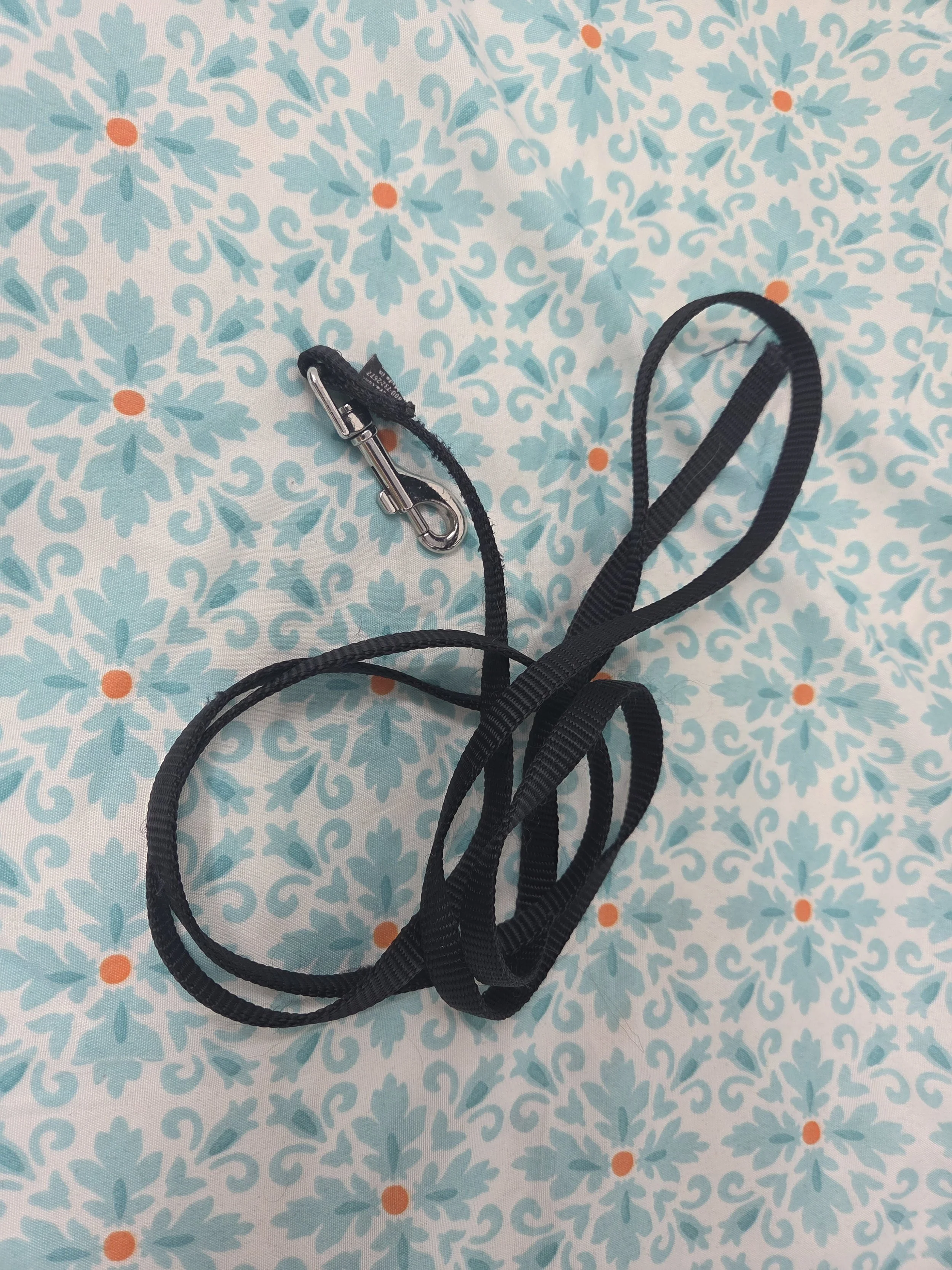 Ironstone Goldendoodles lightweight house-line used for indoor puppy management and tether training.