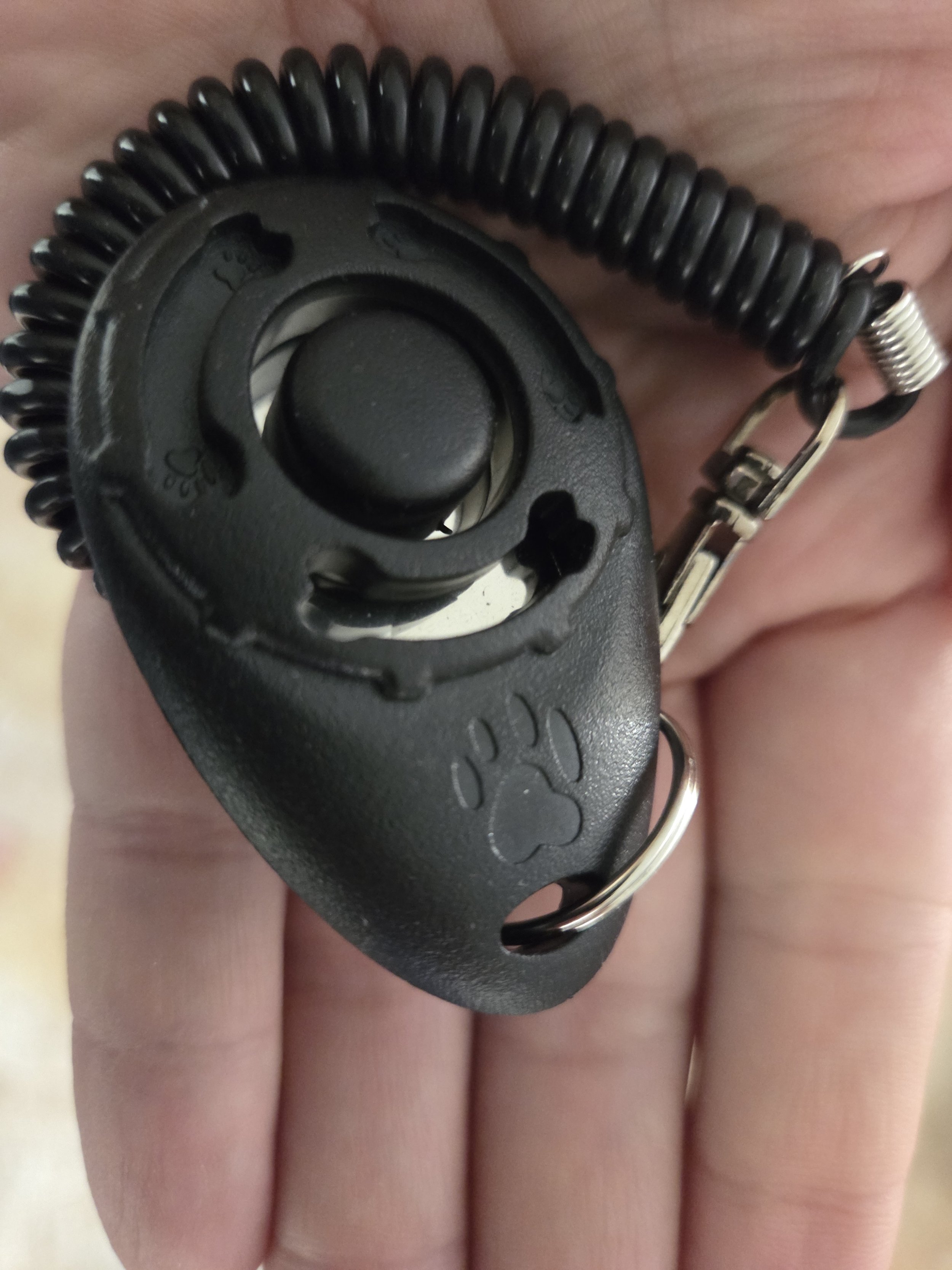 A close-up of the professional training clicker we use at Ironstone.